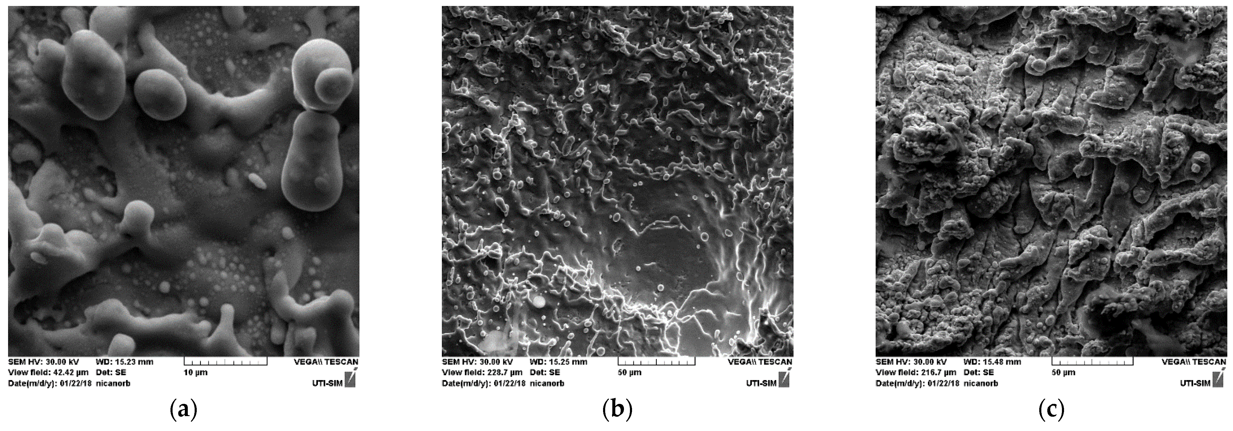 Nanomaterials 11 02560 g003