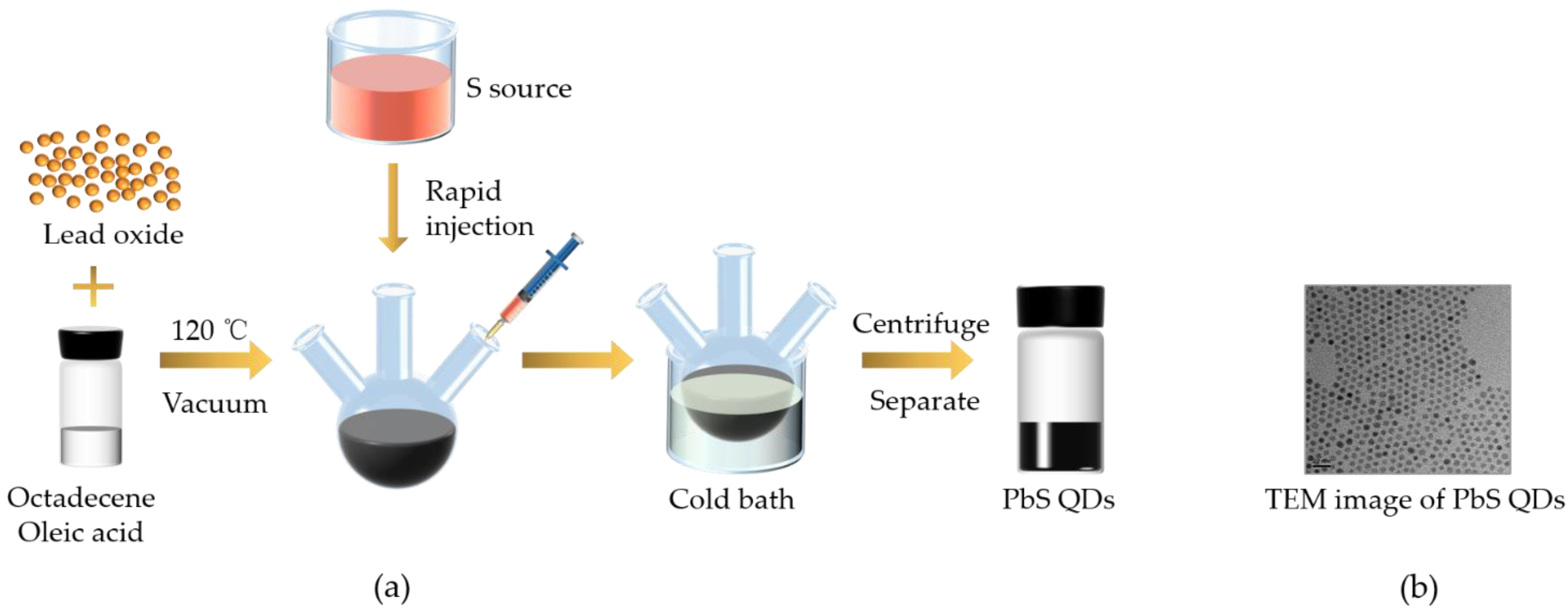 Nanomaterials 11 02561 g001