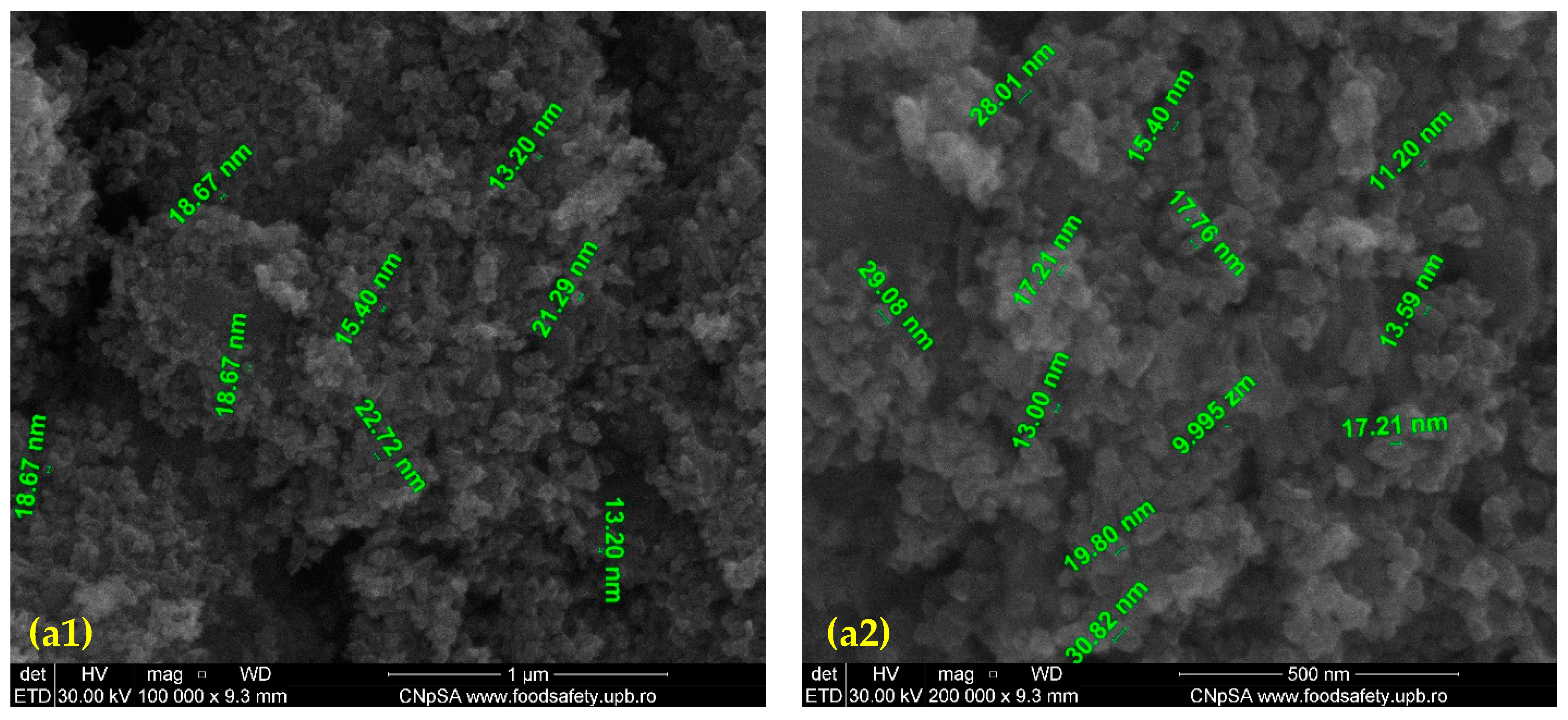 Nanomaterials 11 02564 g002a