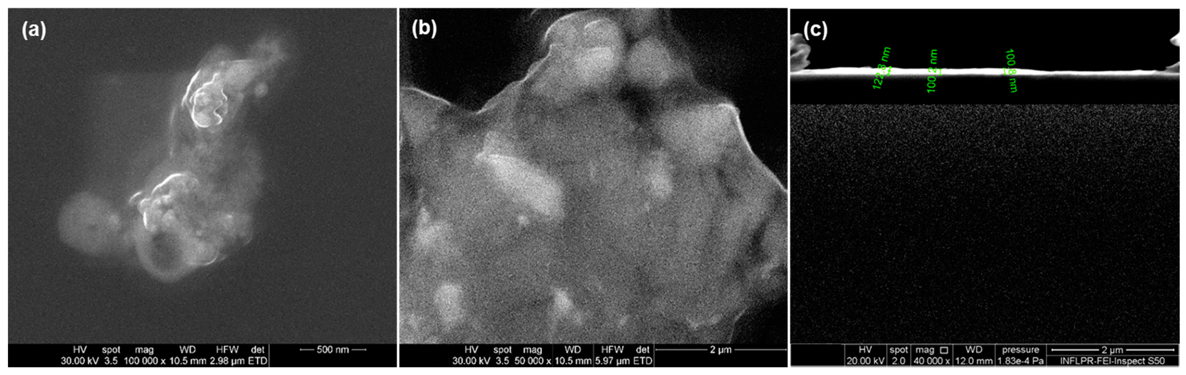 Nanomaterials 11 02564 g014