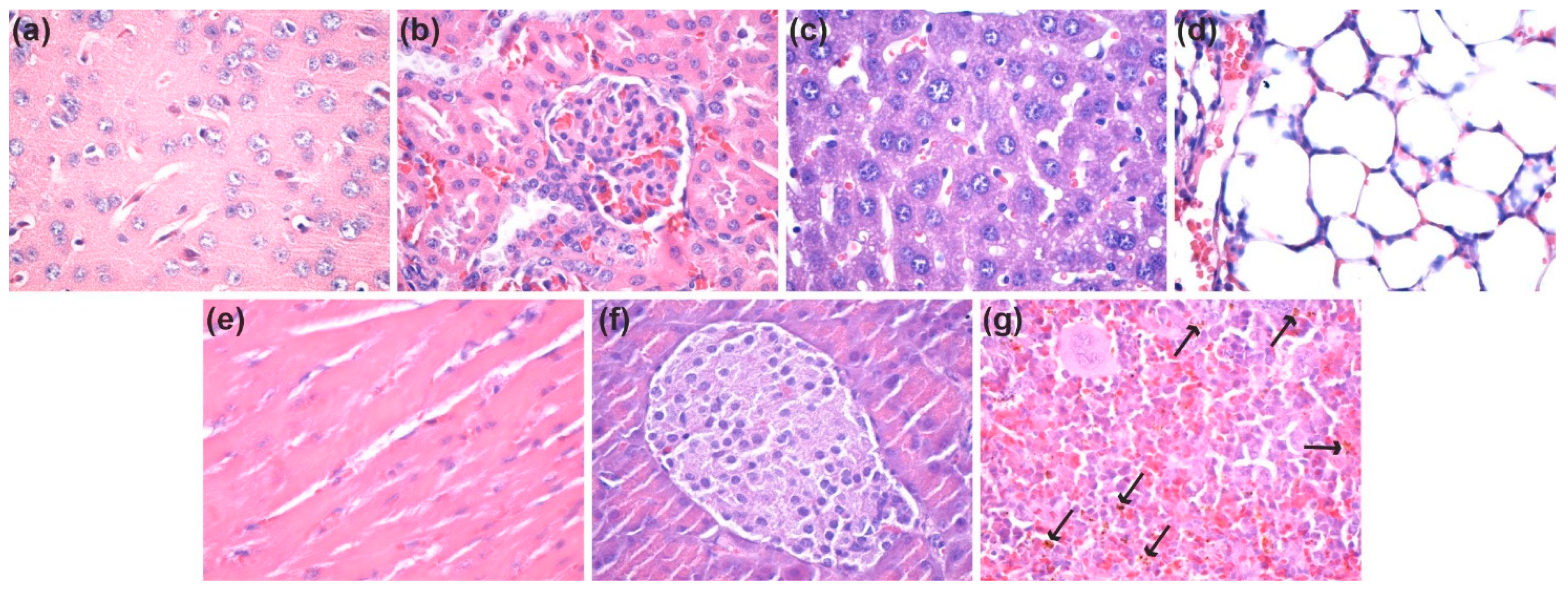 Nanomaterials 11 02564 g015