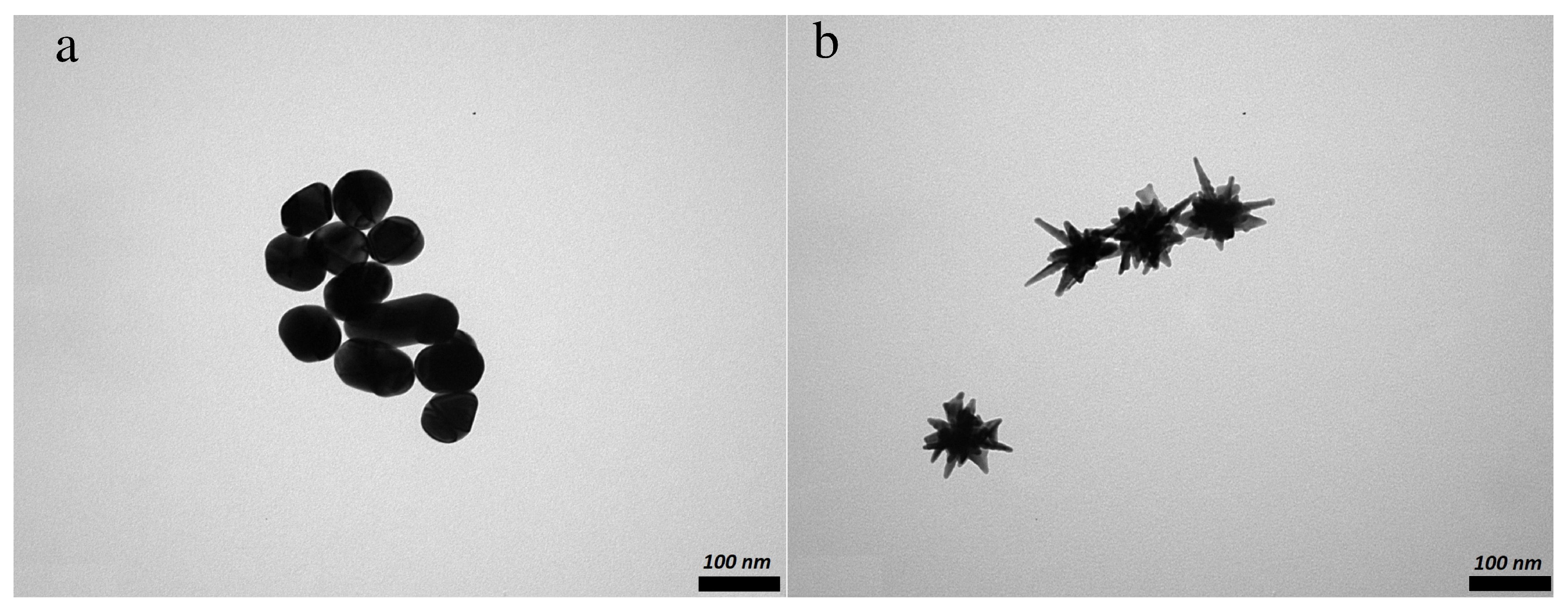 Nanomaterials 11 02565 g001 Nanomaterials 11 02565 g001