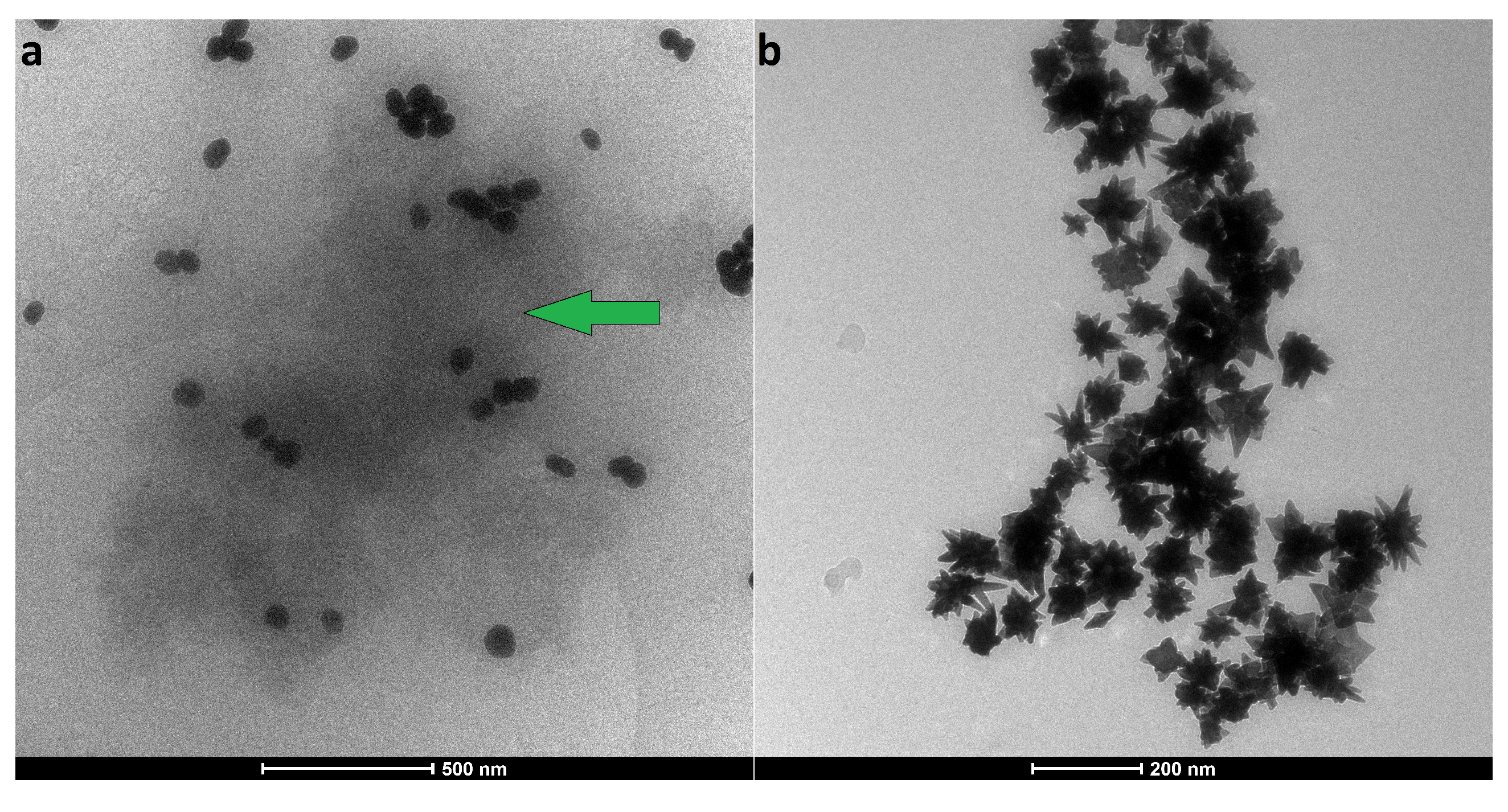 Nanomaterials 11 02565 g004 Nanomaterials 11 02565 g004