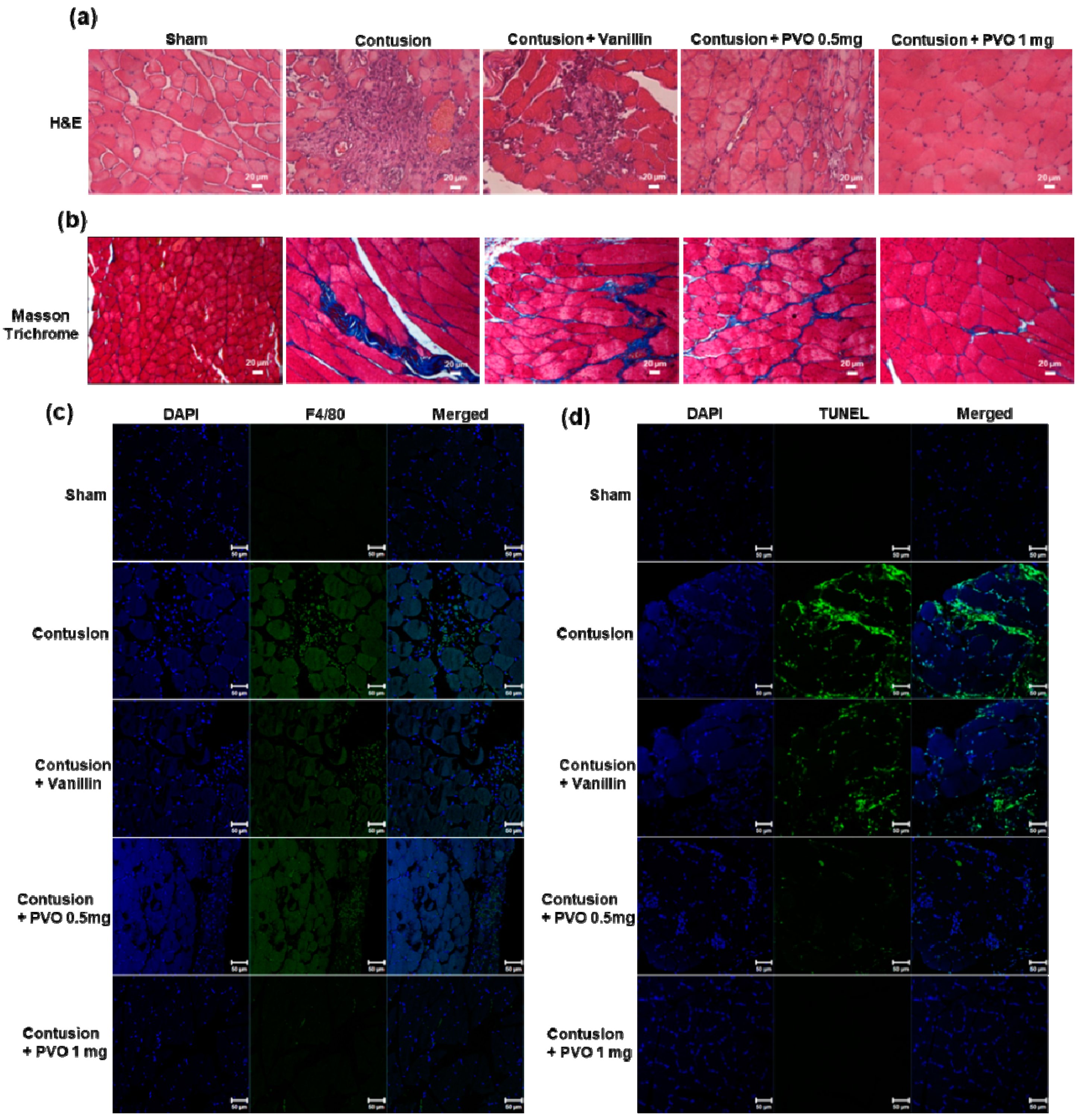 Nanomaterials 11 02571 g009