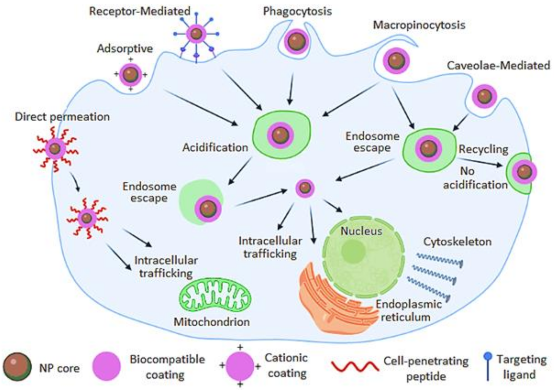 Nanomaterials 11 02579 g002 Nanomaterials 11 02579 g002