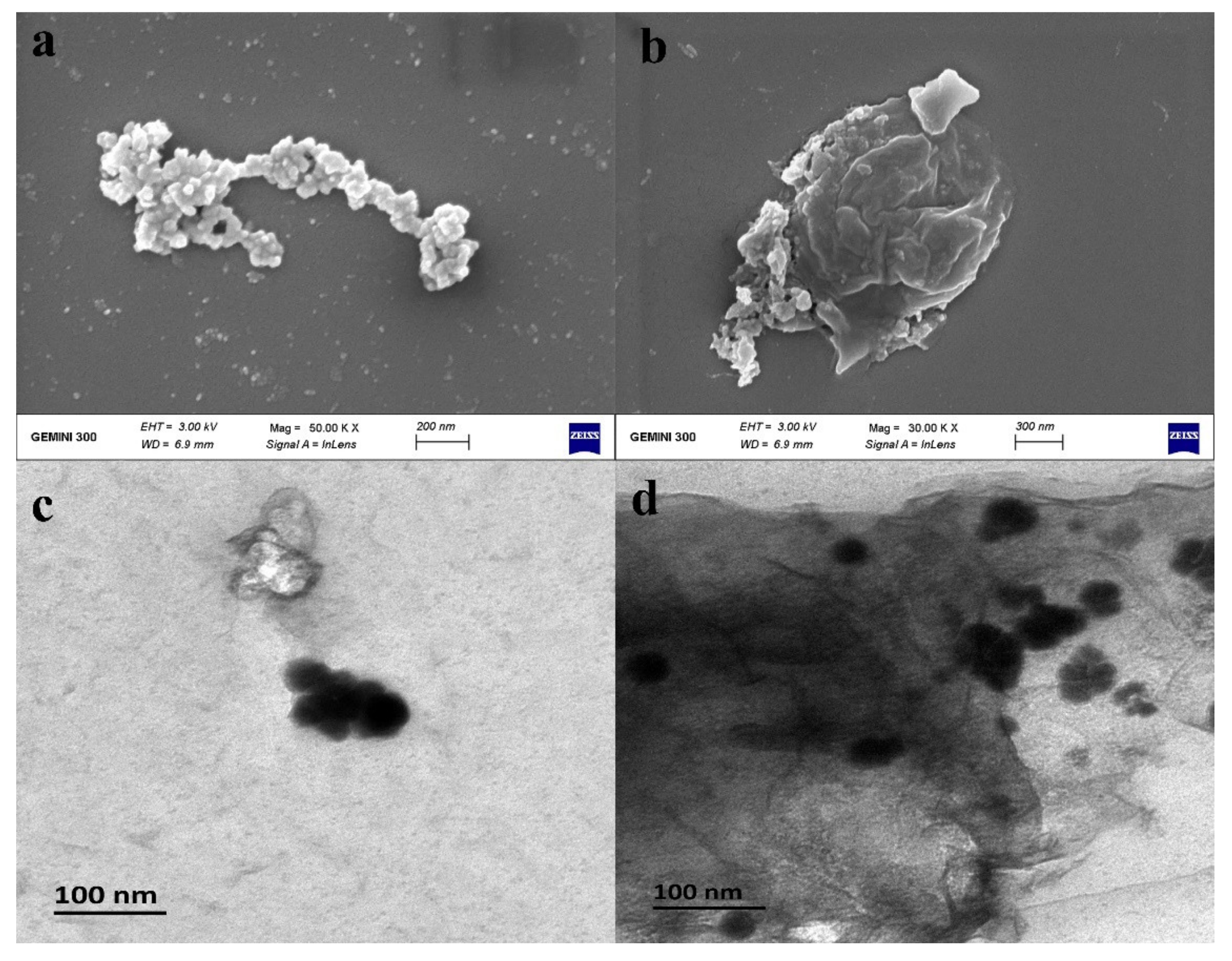 Nanomaterials 11 02580 g001 Nanomaterials 11 02580 g001