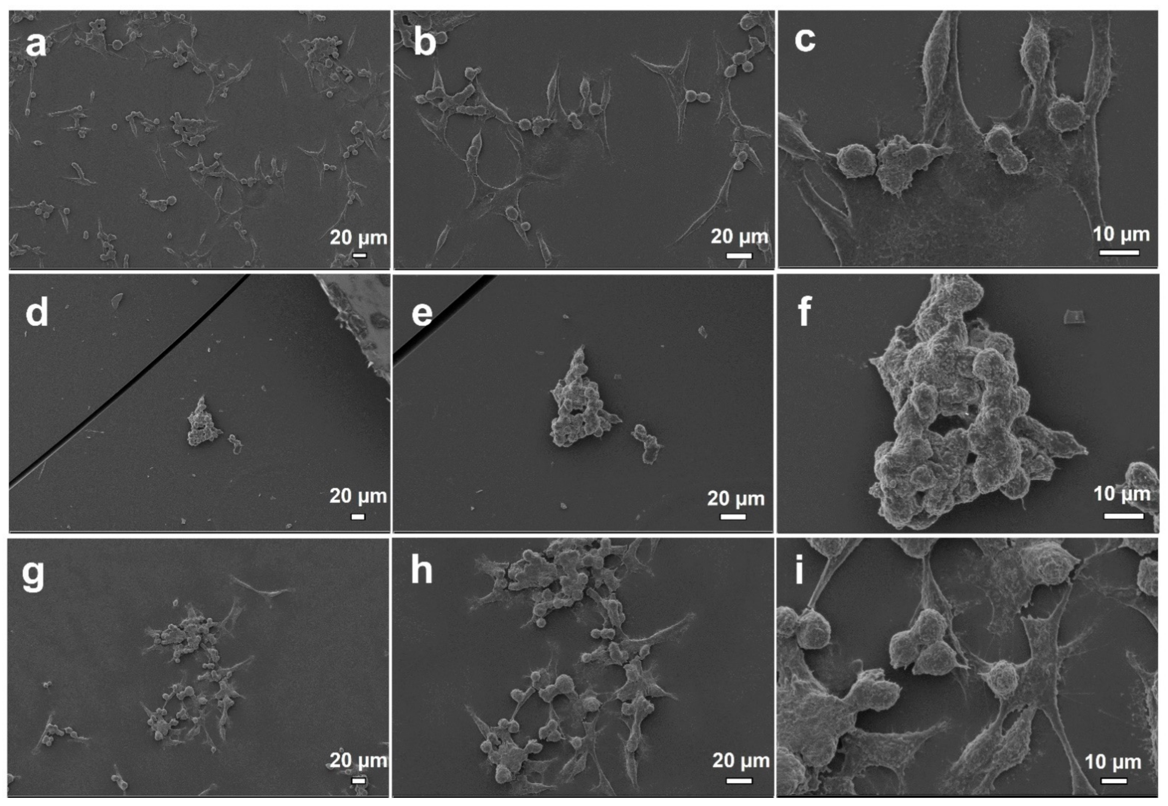 Nanomaterials 11 02582 g008