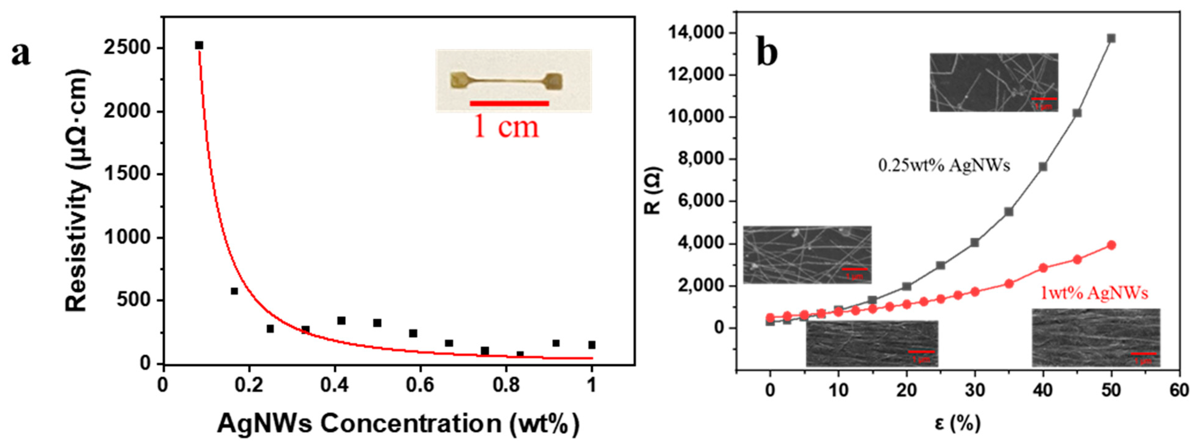 Nanomaterials 11 02583 g002