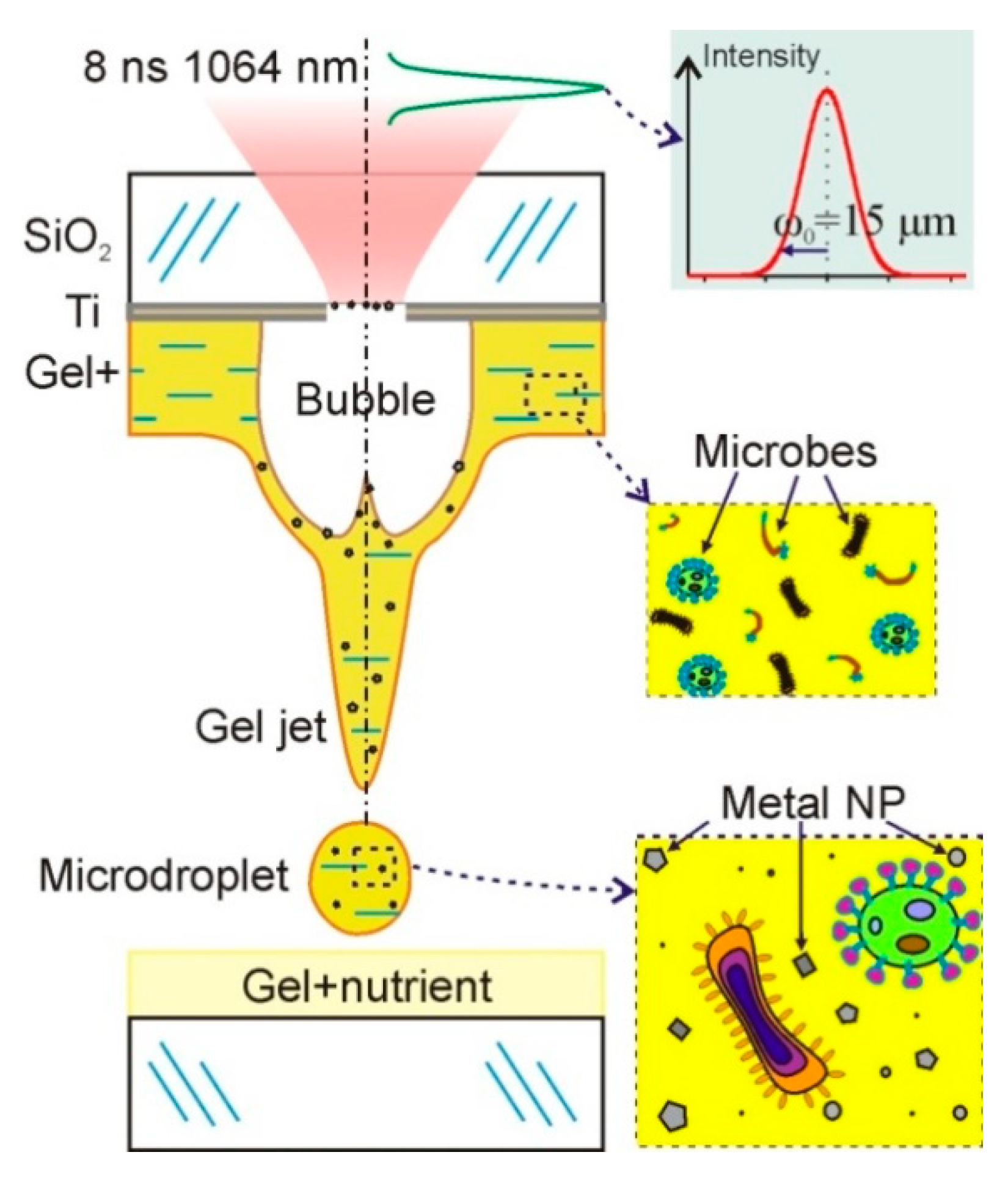 Nanomaterials 11 02584 g001 550