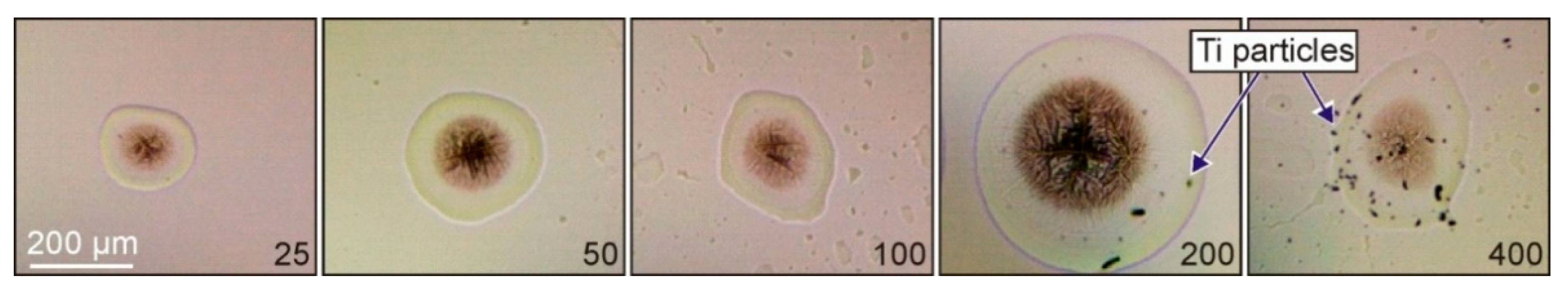 Nanomaterials 11 02584 g002 550