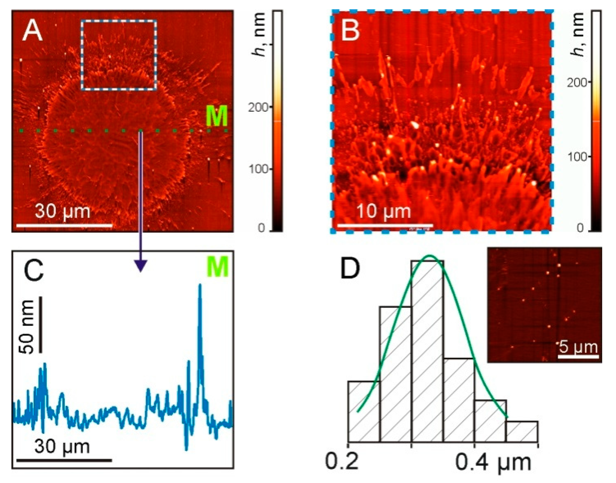 Nanomaterials 11 02584 g007 550