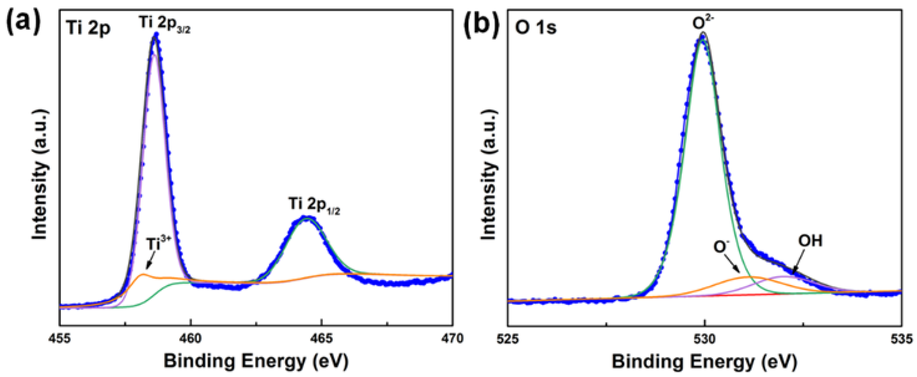 Nanomaterials 11 02585 g002 550