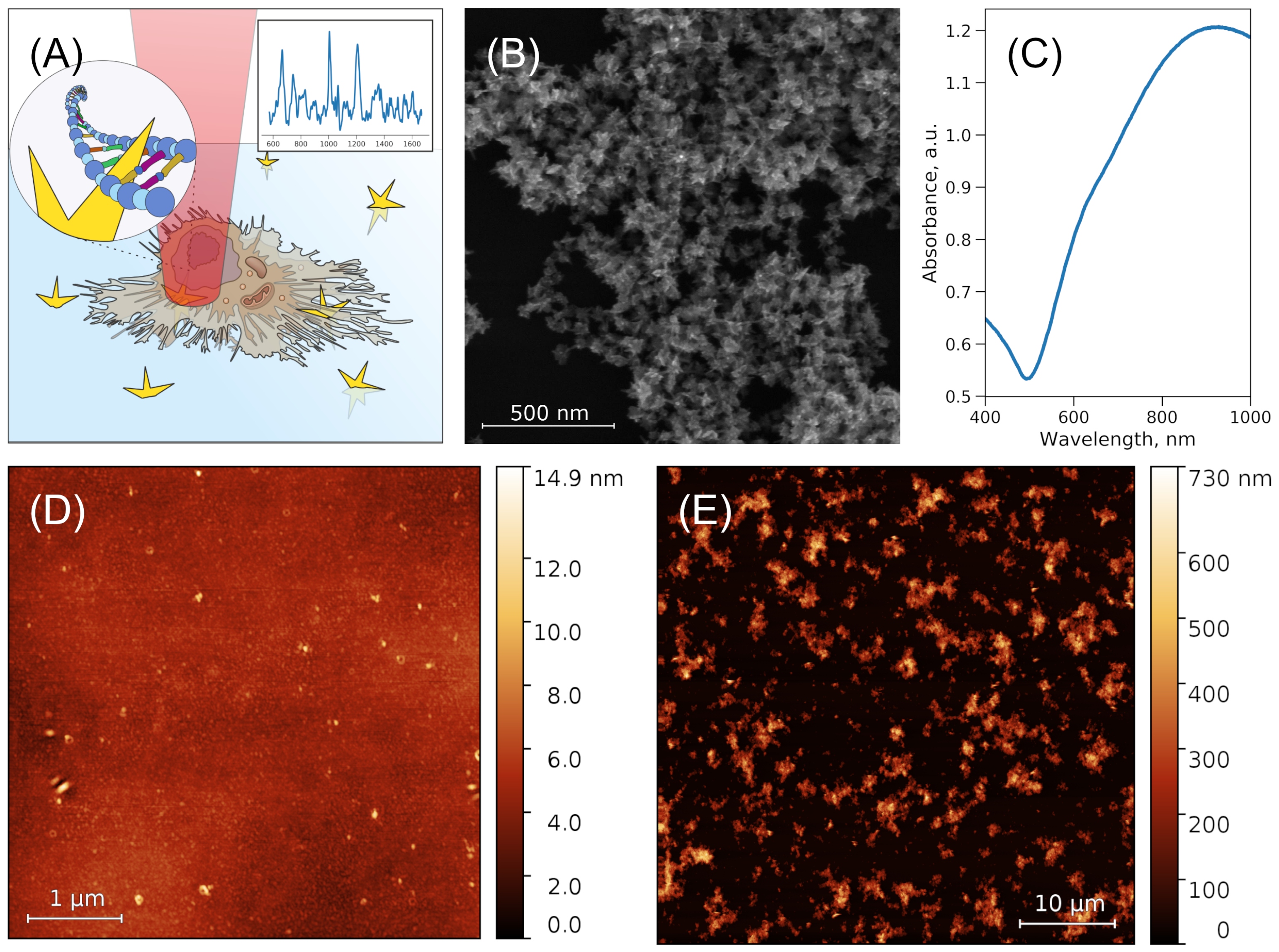 Nanomaterials 11 02588 g001 Nanomaterials 11 02588 g001
