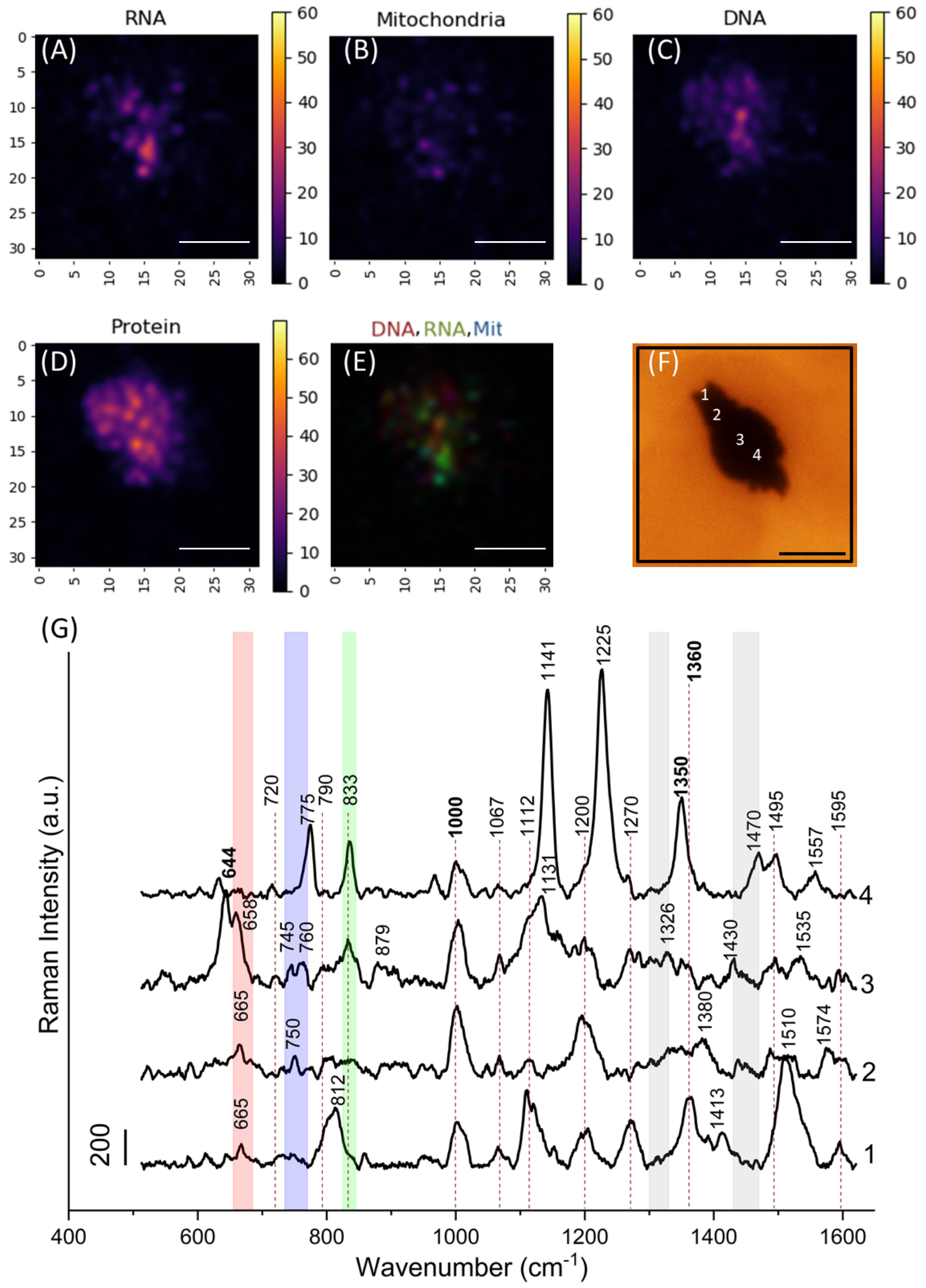 Nanomaterials 11 02588 g002 Nanomaterials 11 02588 g002