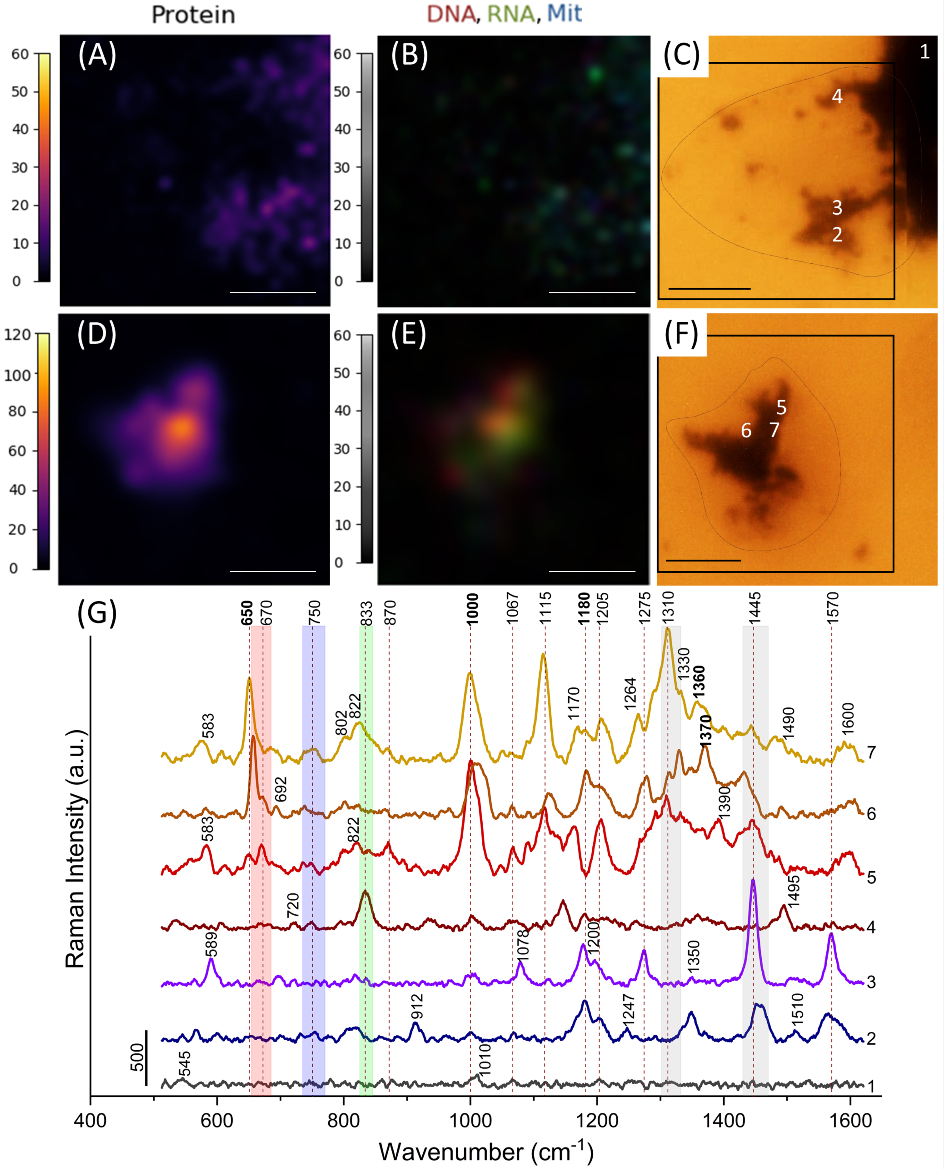 Nanomaterials 11 02588 g003 Nanomaterials 11 02588 g003