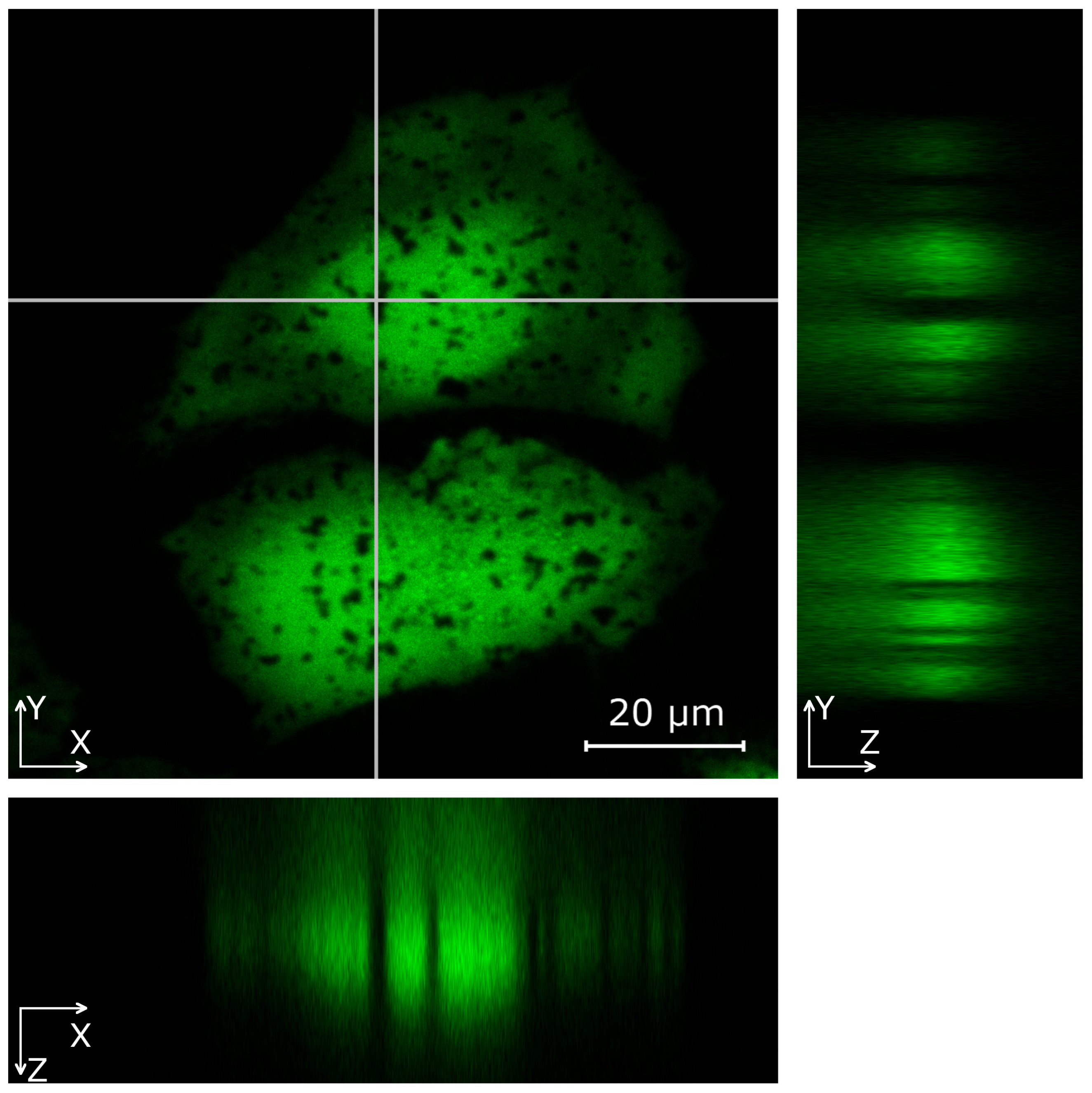 Nanomaterials 11 02588 g004 Nanomaterials 11 02588 g004