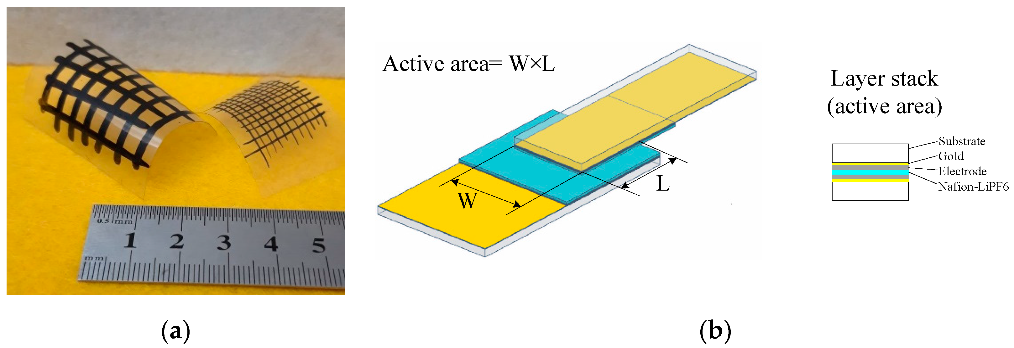 Nanomaterials 11 02589 g001 550