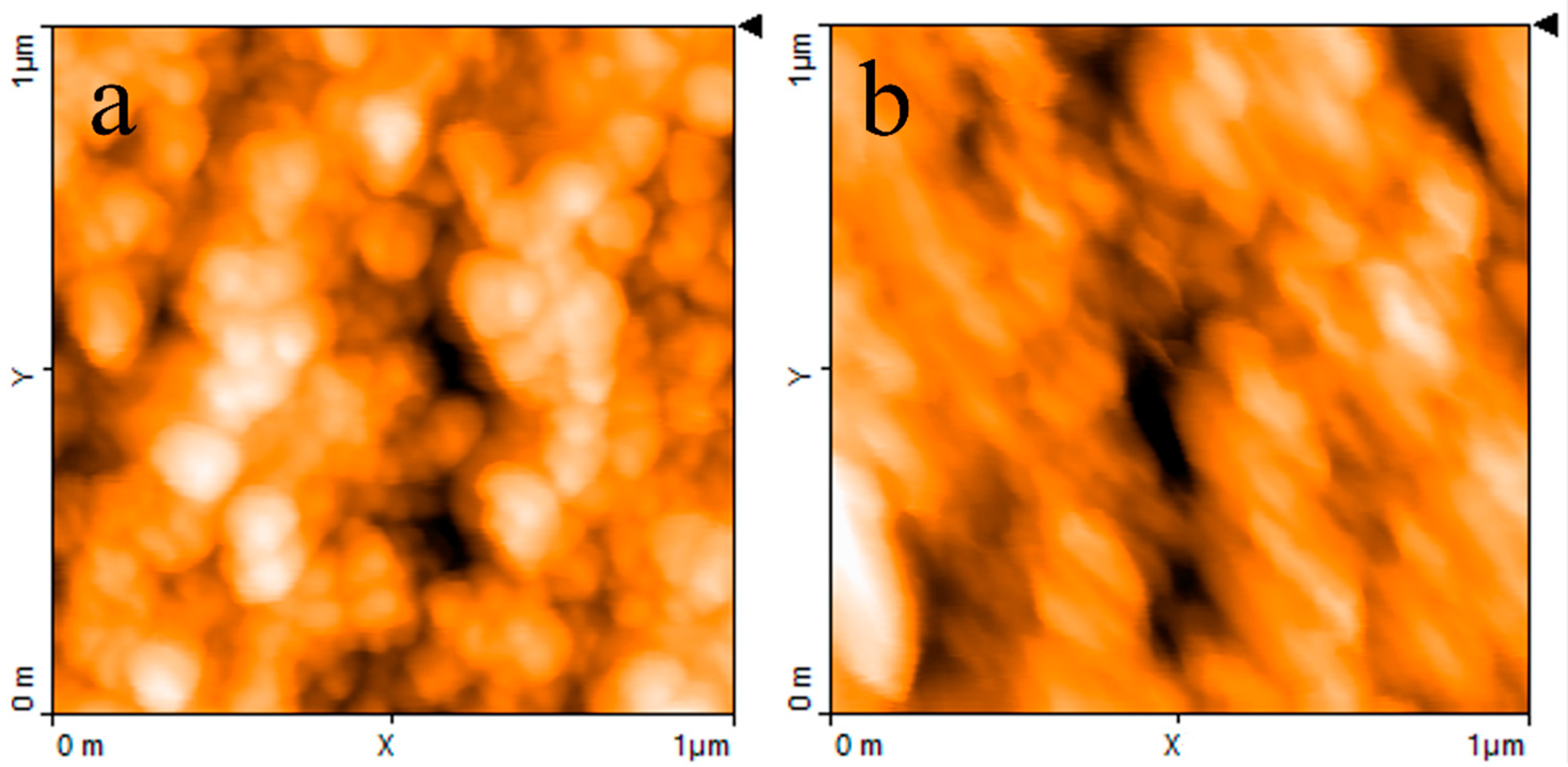 Nanomaterials 11 02589 g005 550