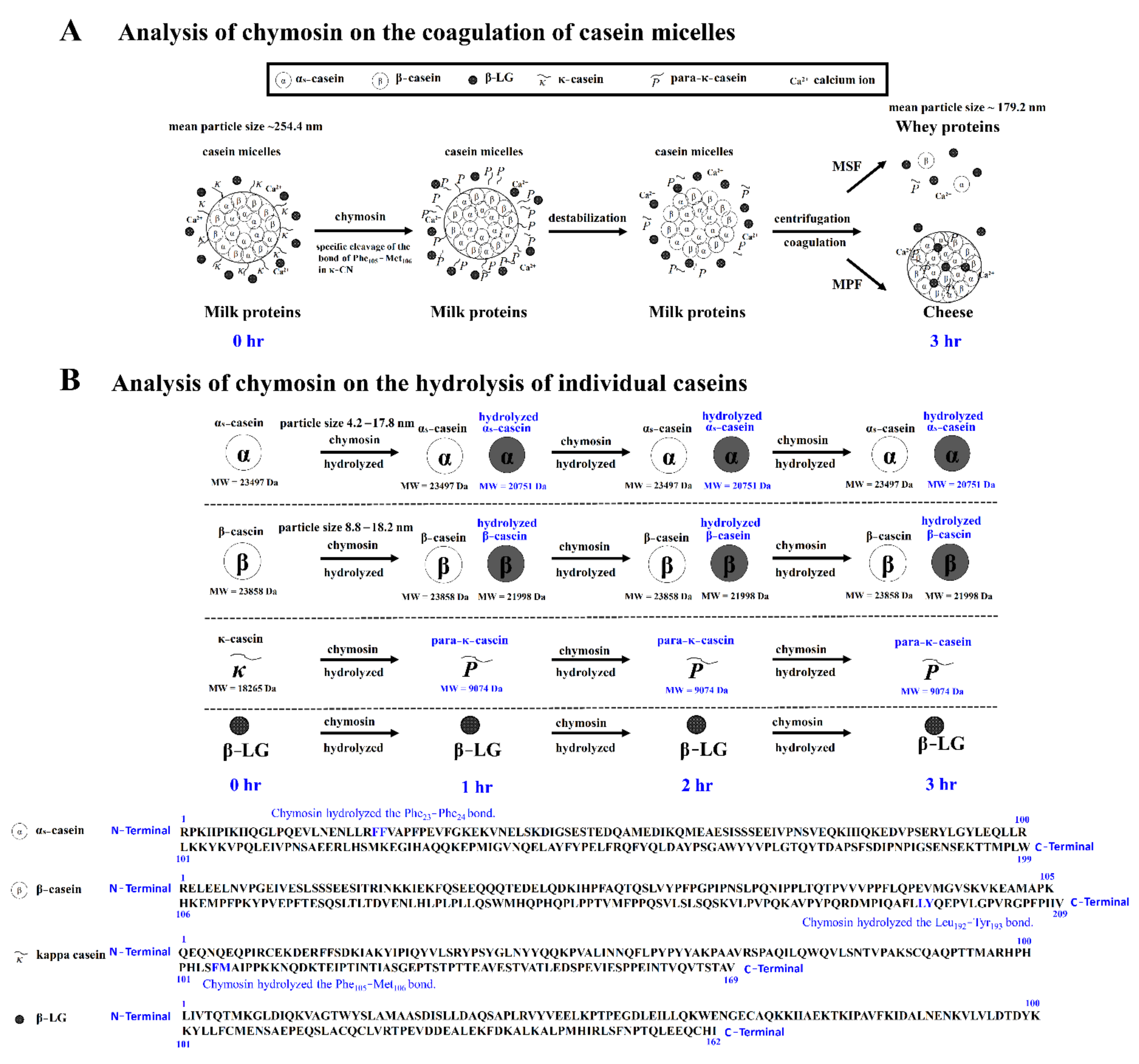 Nanomaterials 11 02594 g006 550