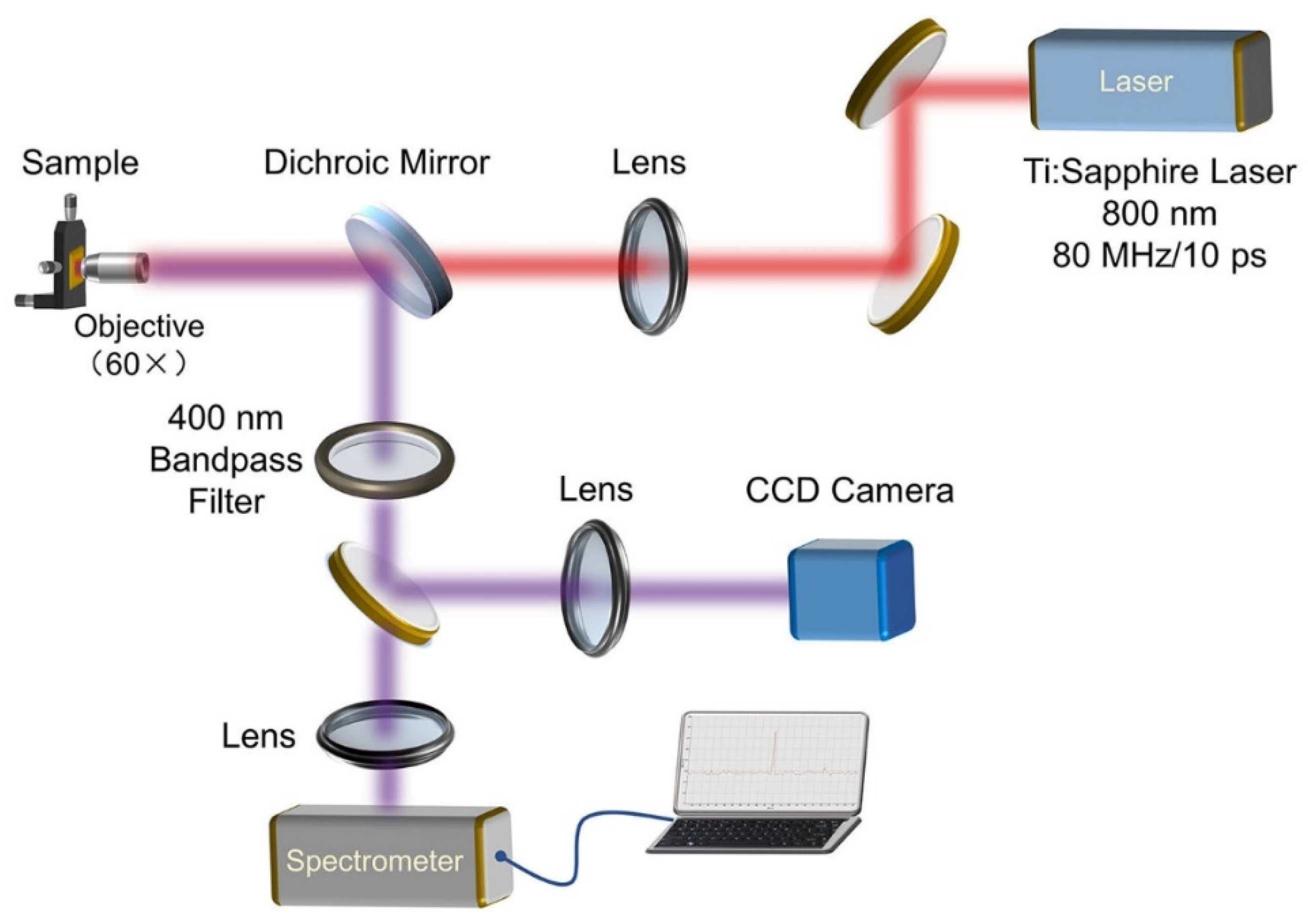 Nanomaterials 11 02597 g001