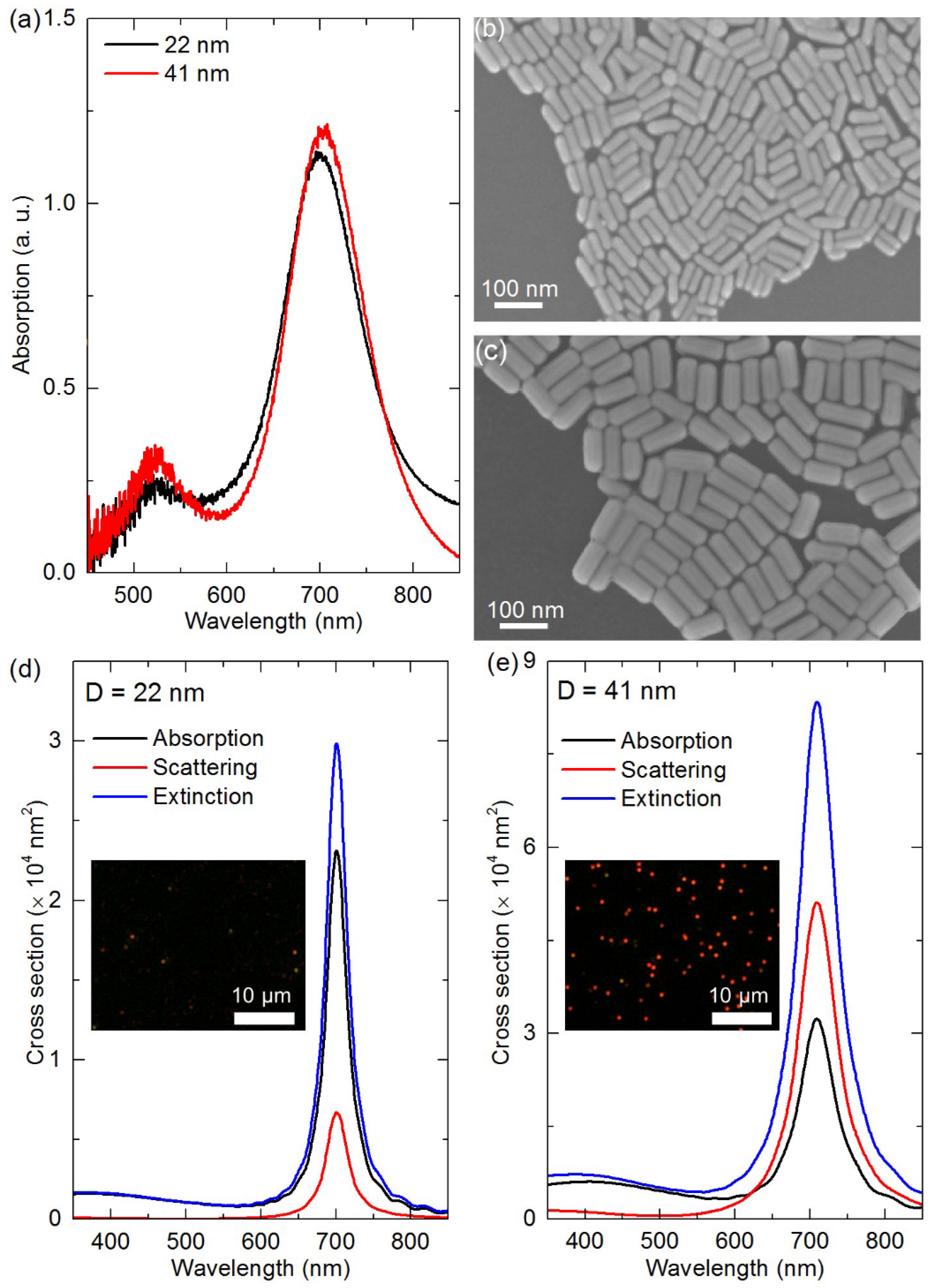 Nanomaterials 11 02597 g002