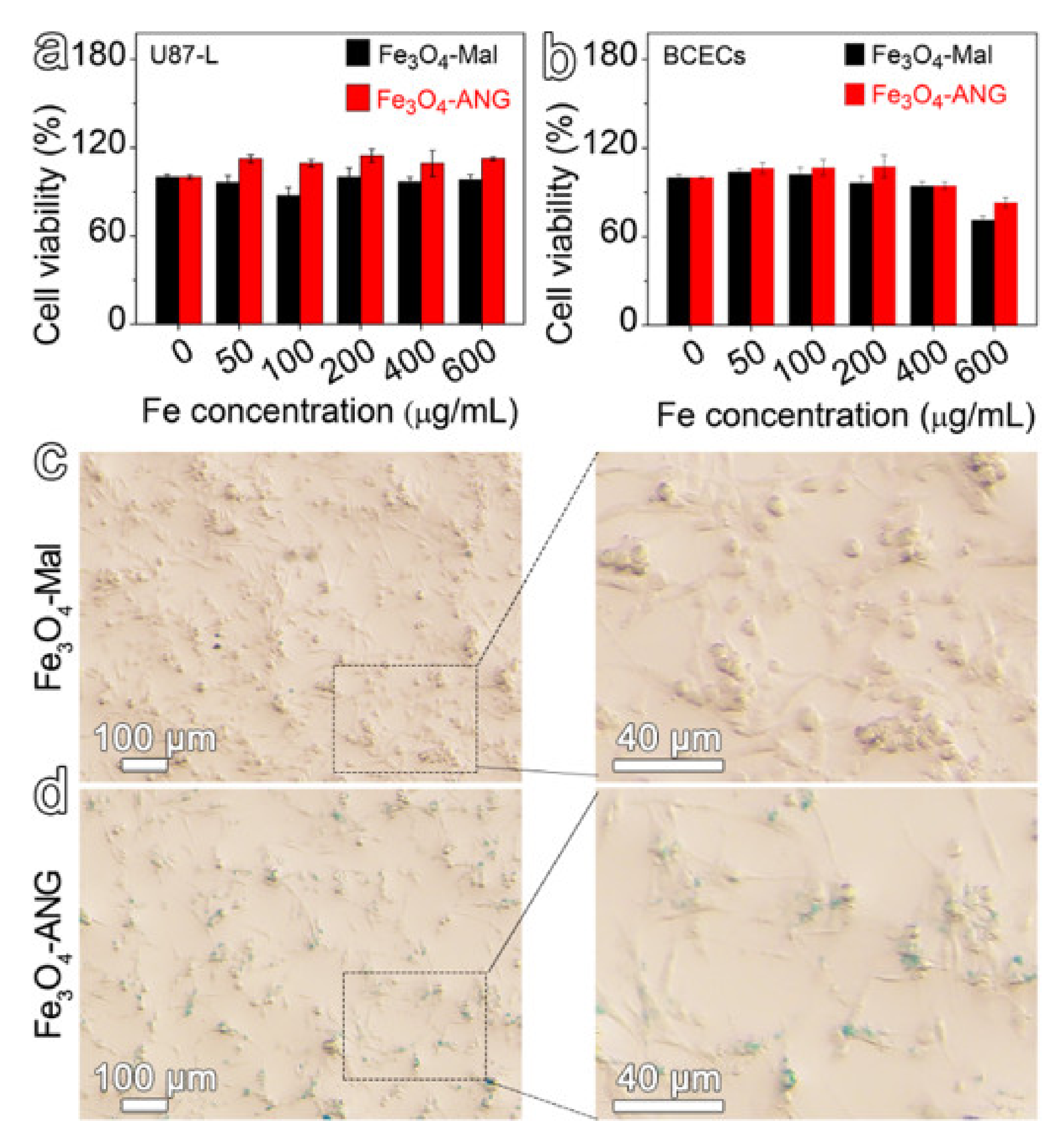 Nanomaterials 11 02601 g003 550