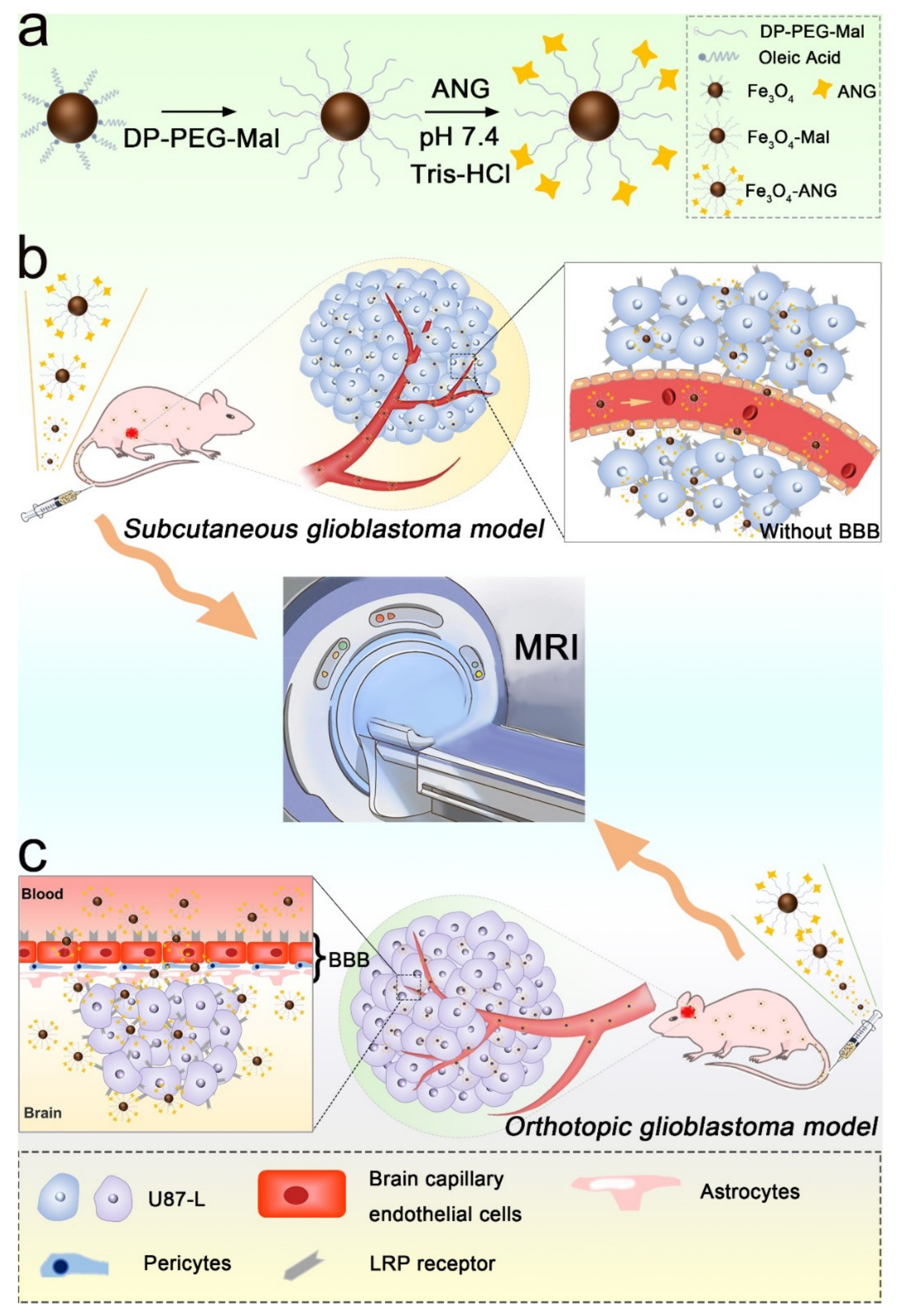 Nanomaterials 11 02601 sch001 550