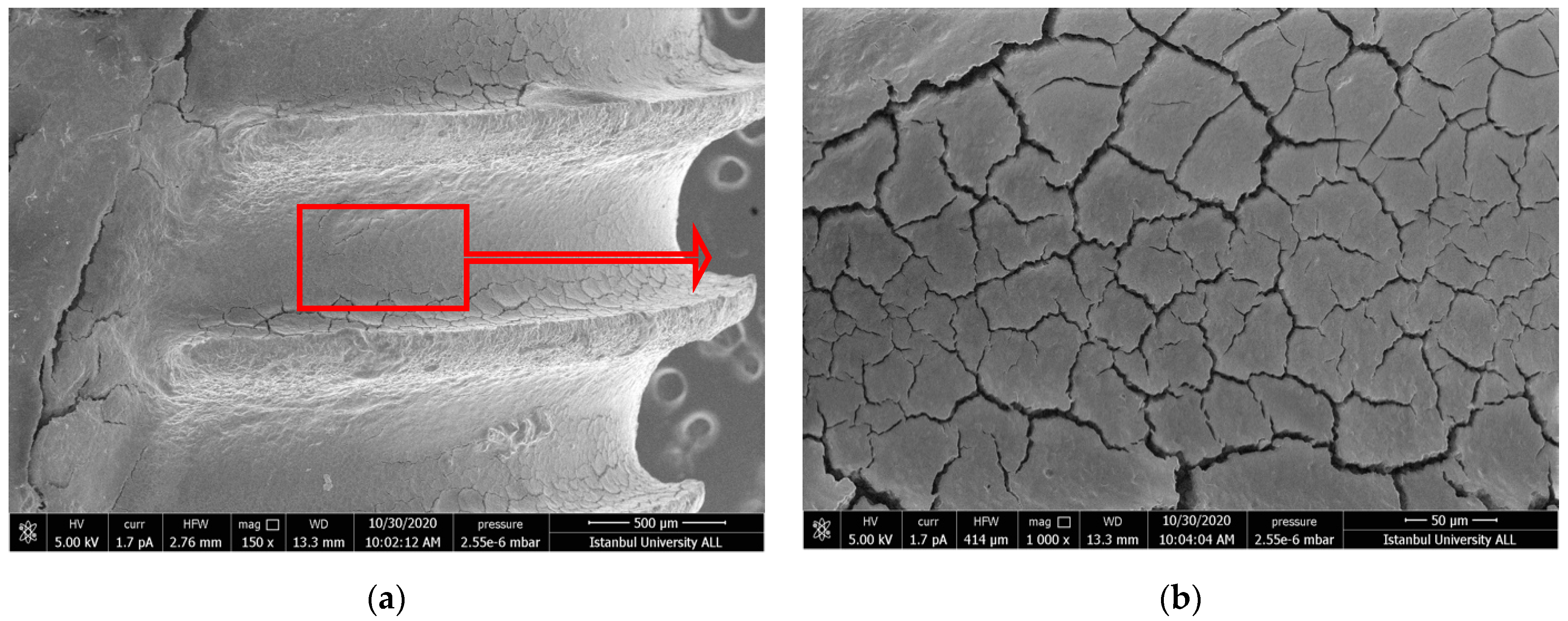 Nanomaterials 11 02602 g002a