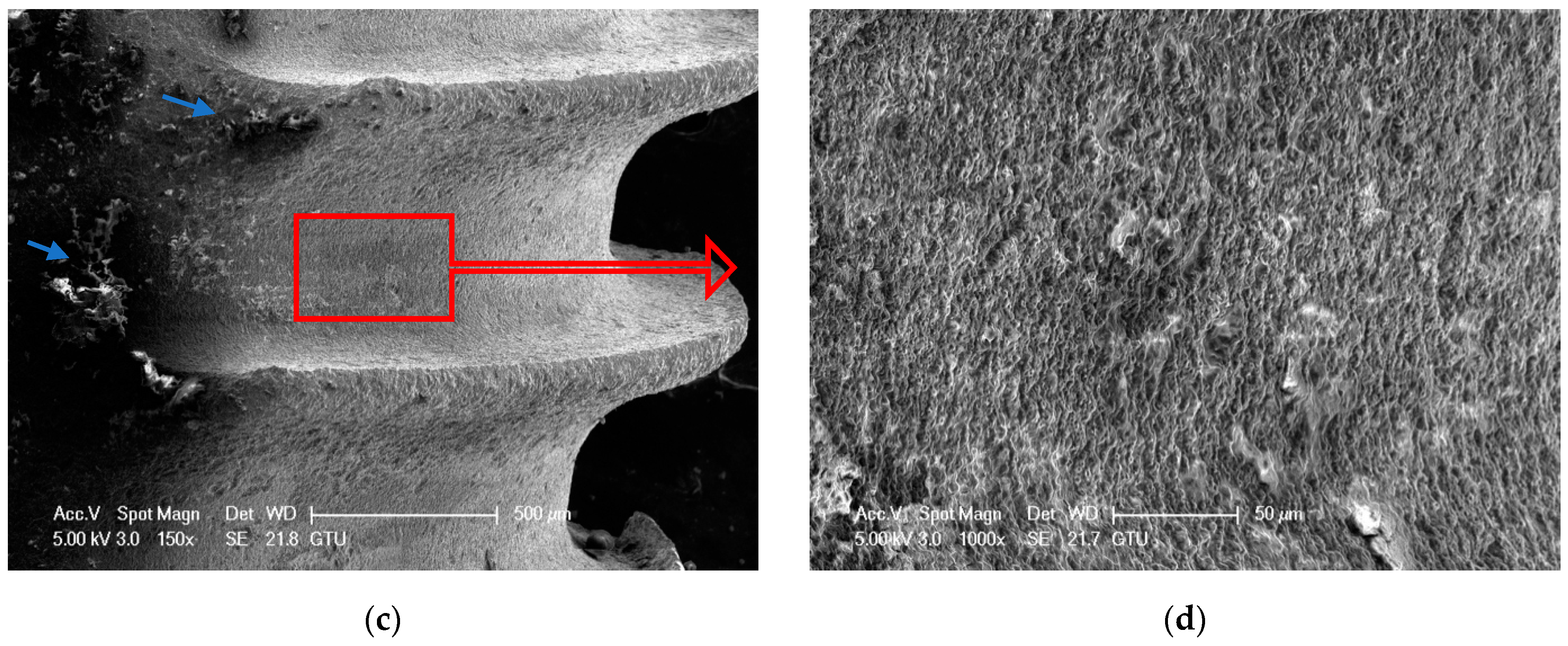 Nanomaterials 11 02602 g002b