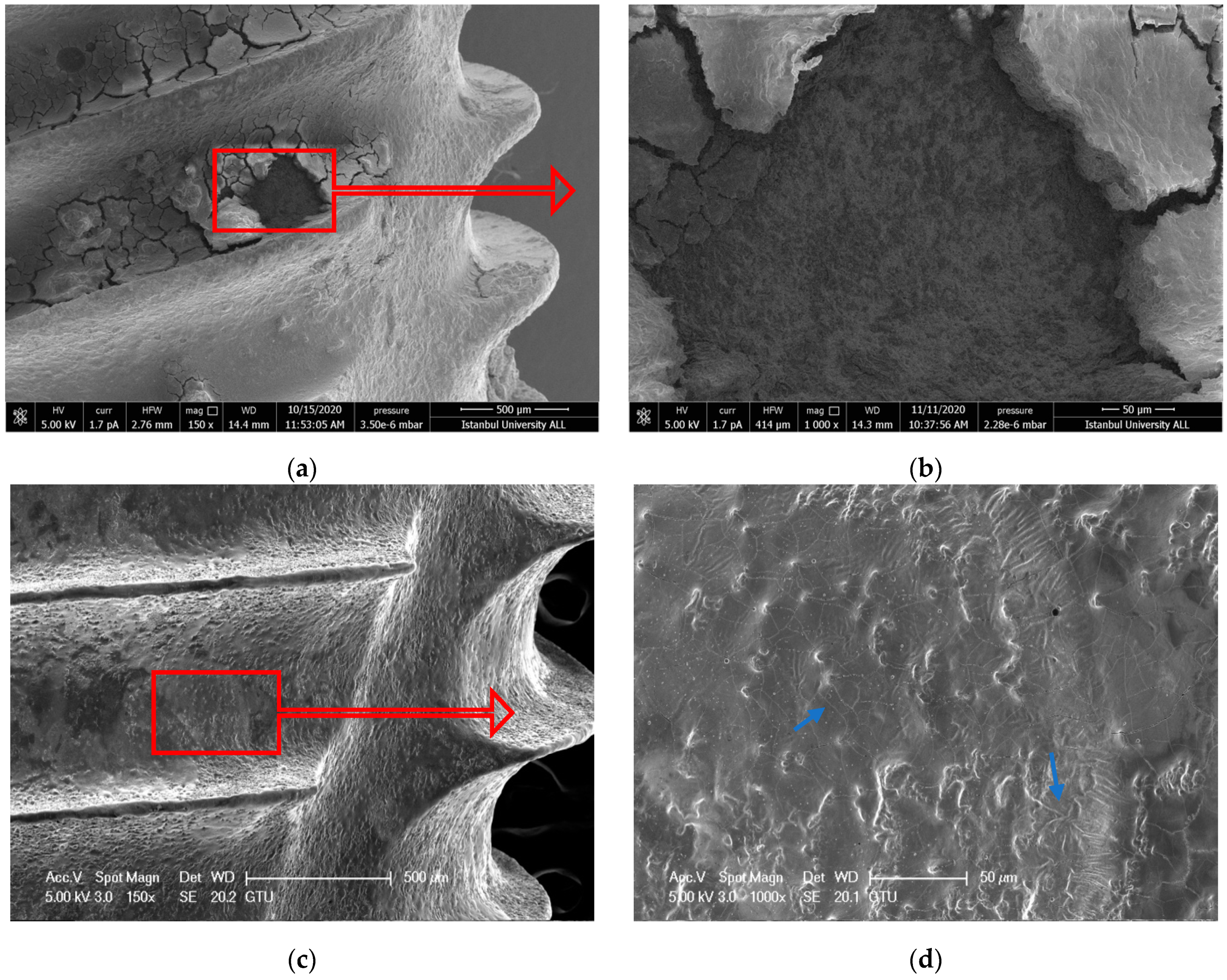 Nanomaterials 11 02602 g003