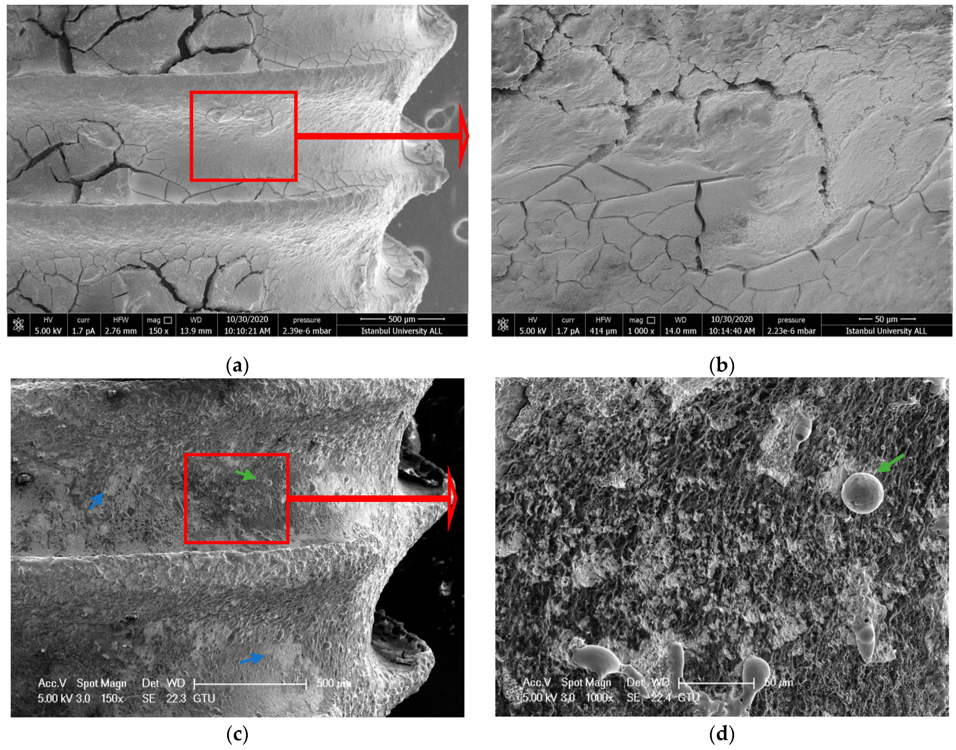 Nanomaterials 11 02602 g004