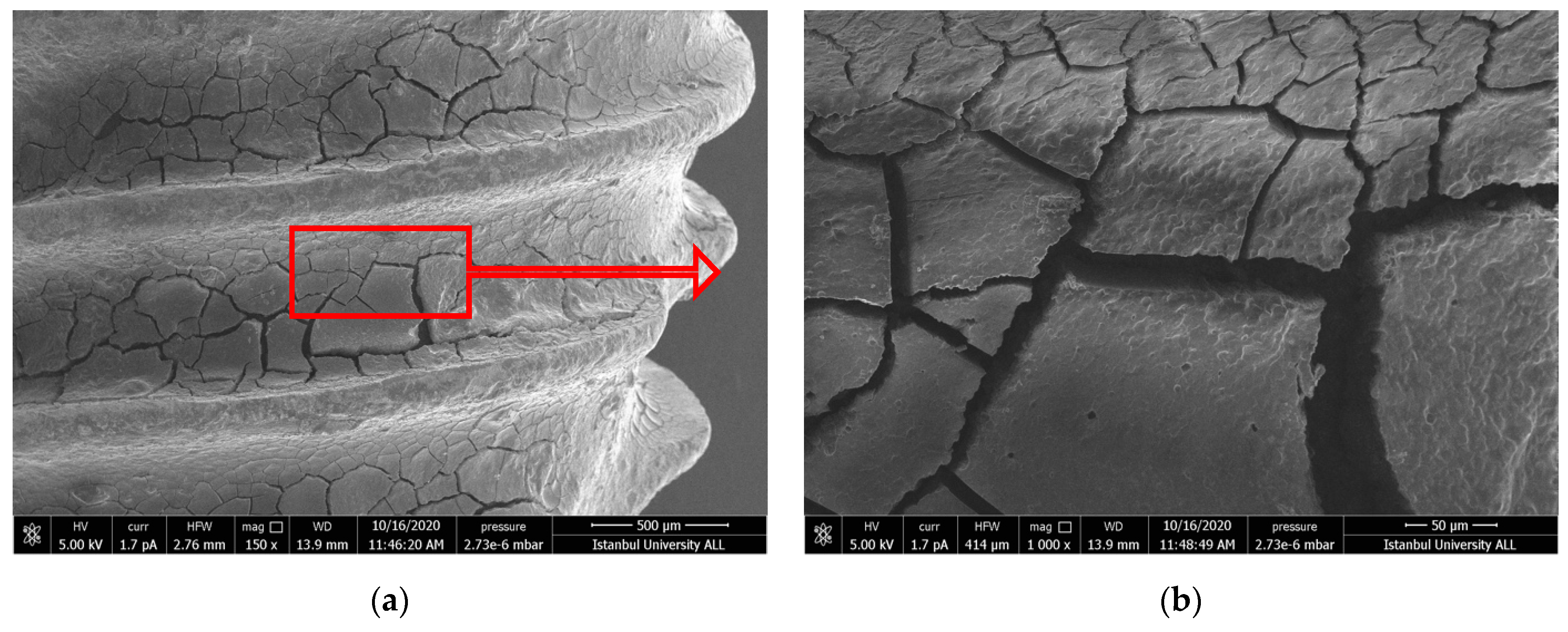 Nanomaterials 11 02602 g006a