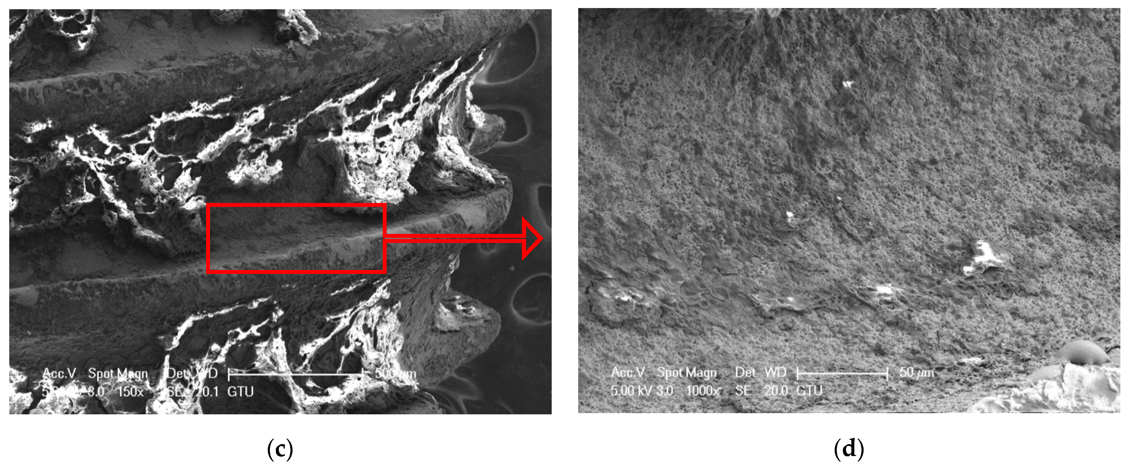 Nanomaterials 11 02602 g006b