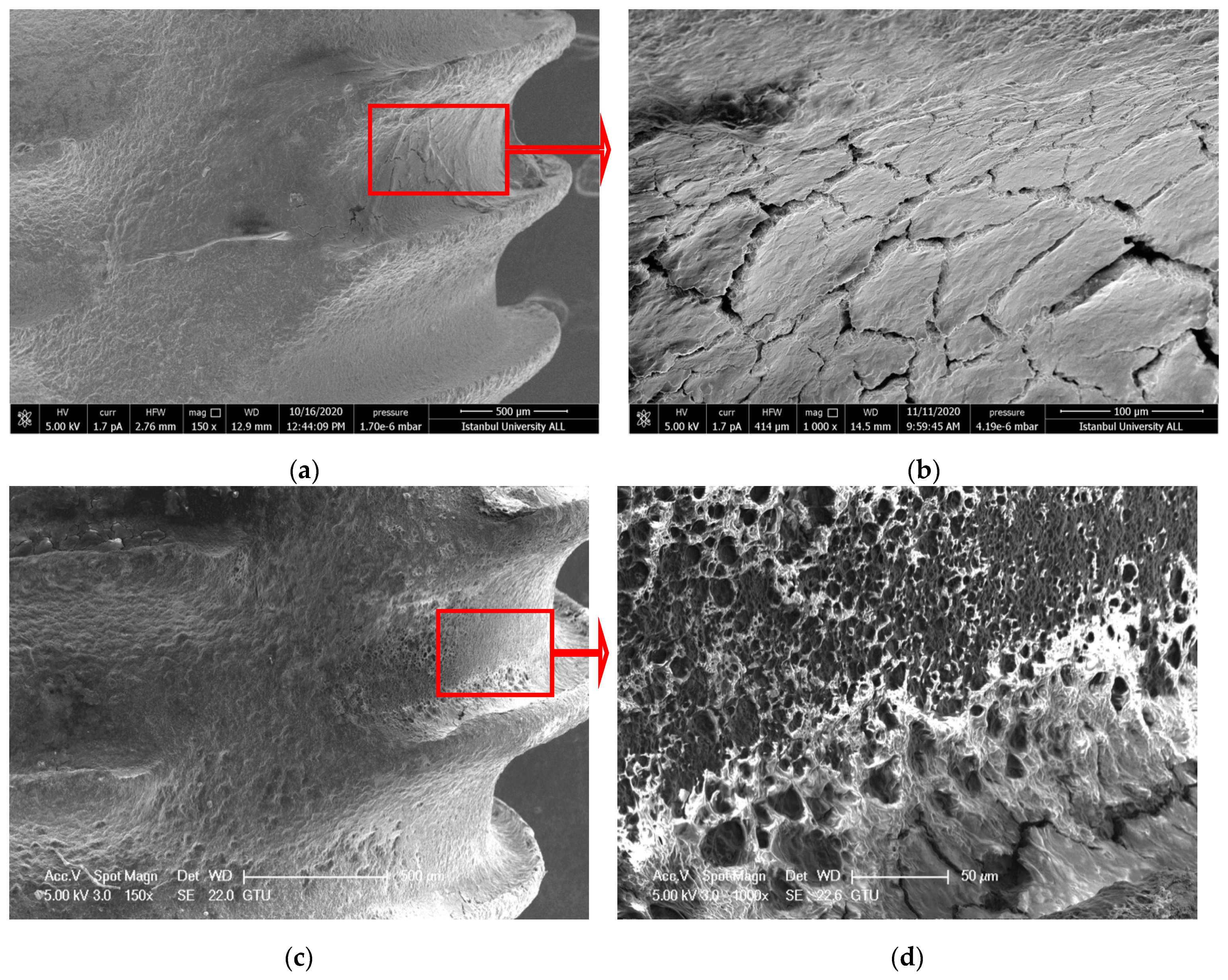 Nanomaterials 11 02602 g007