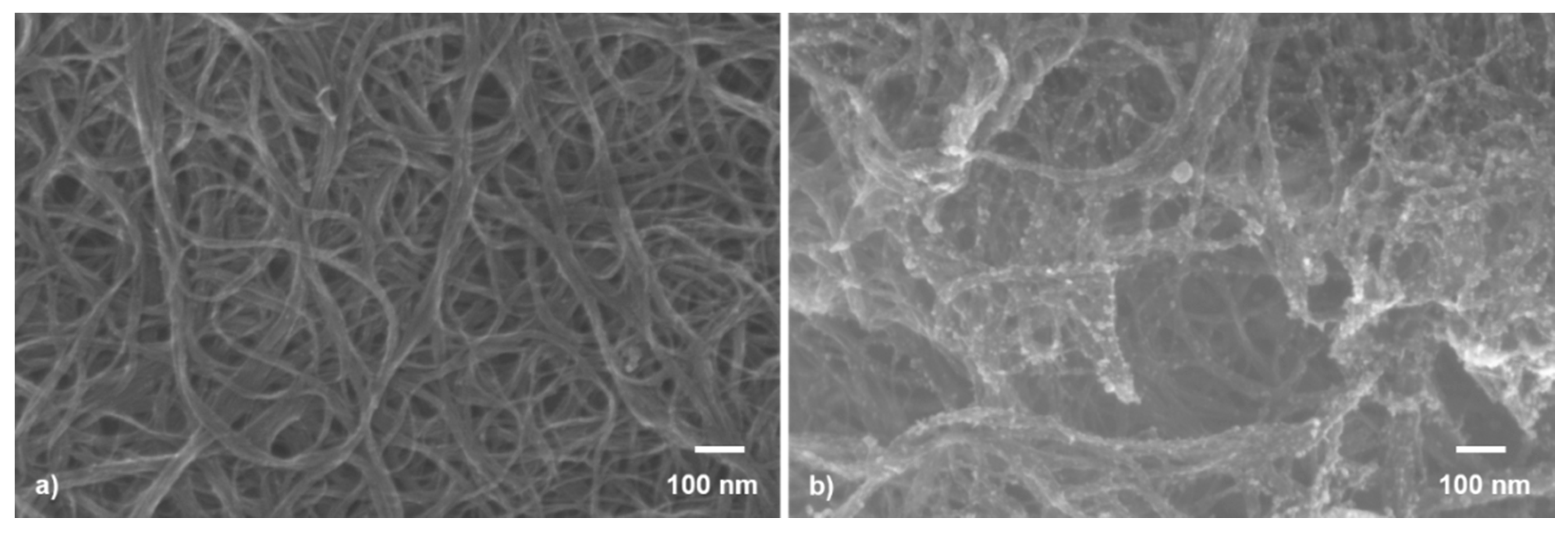 Nanomaterials 11 02604 g002