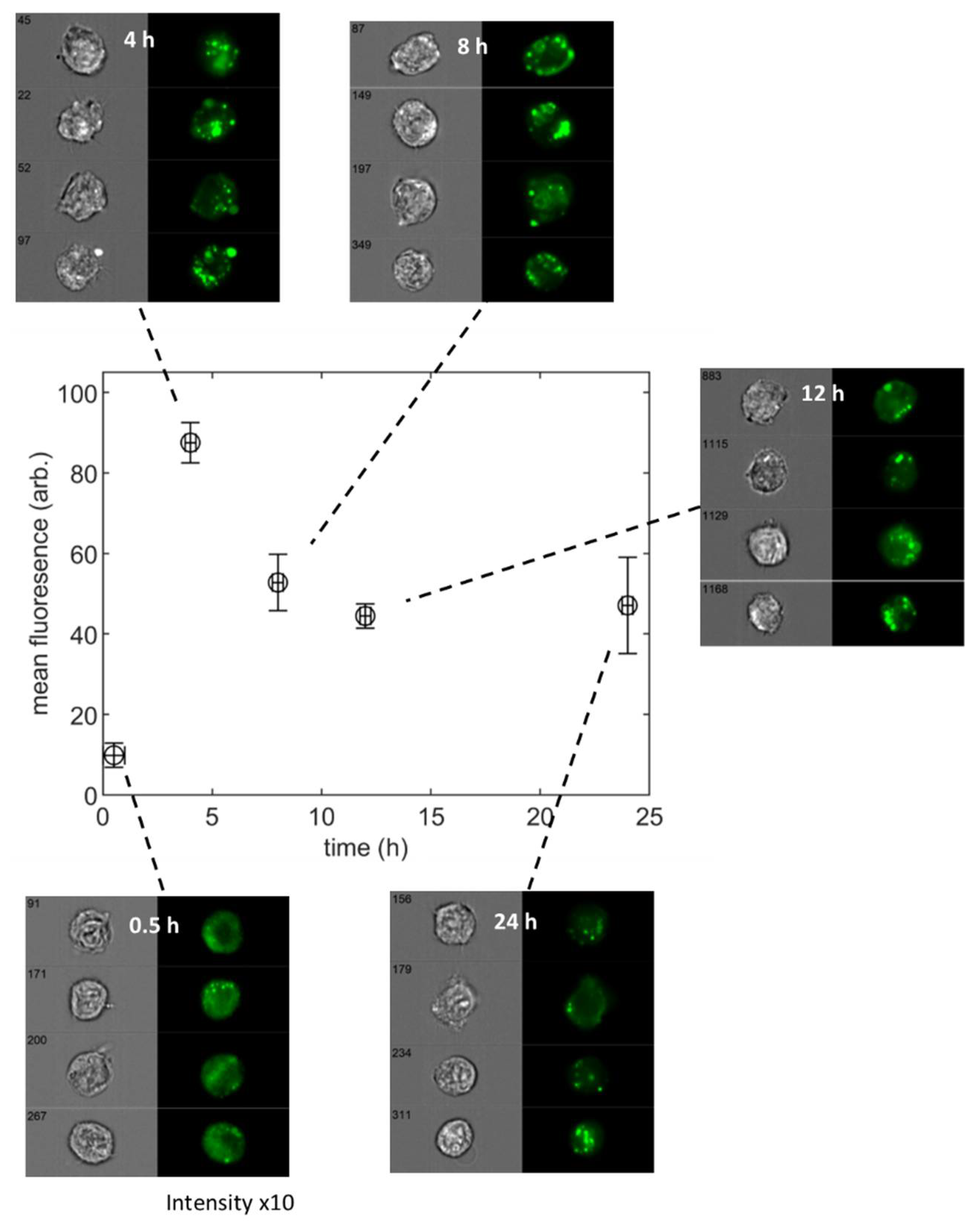 Nanomaterials 11 02606 g001 Nanomaterials 11 02606 g001