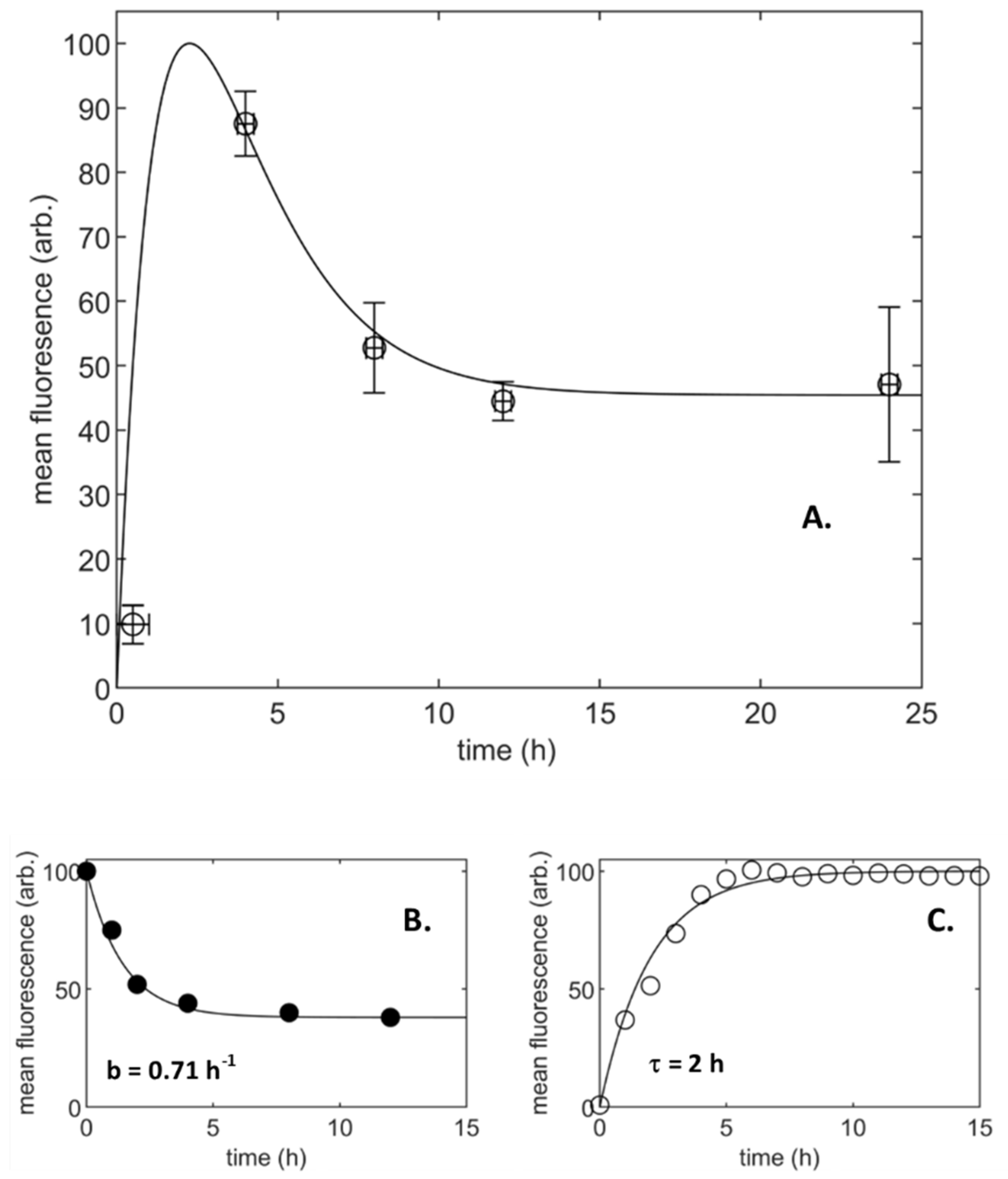 Nanomaterials 11 02606 g003 Nanomaterials 11 02606 g003