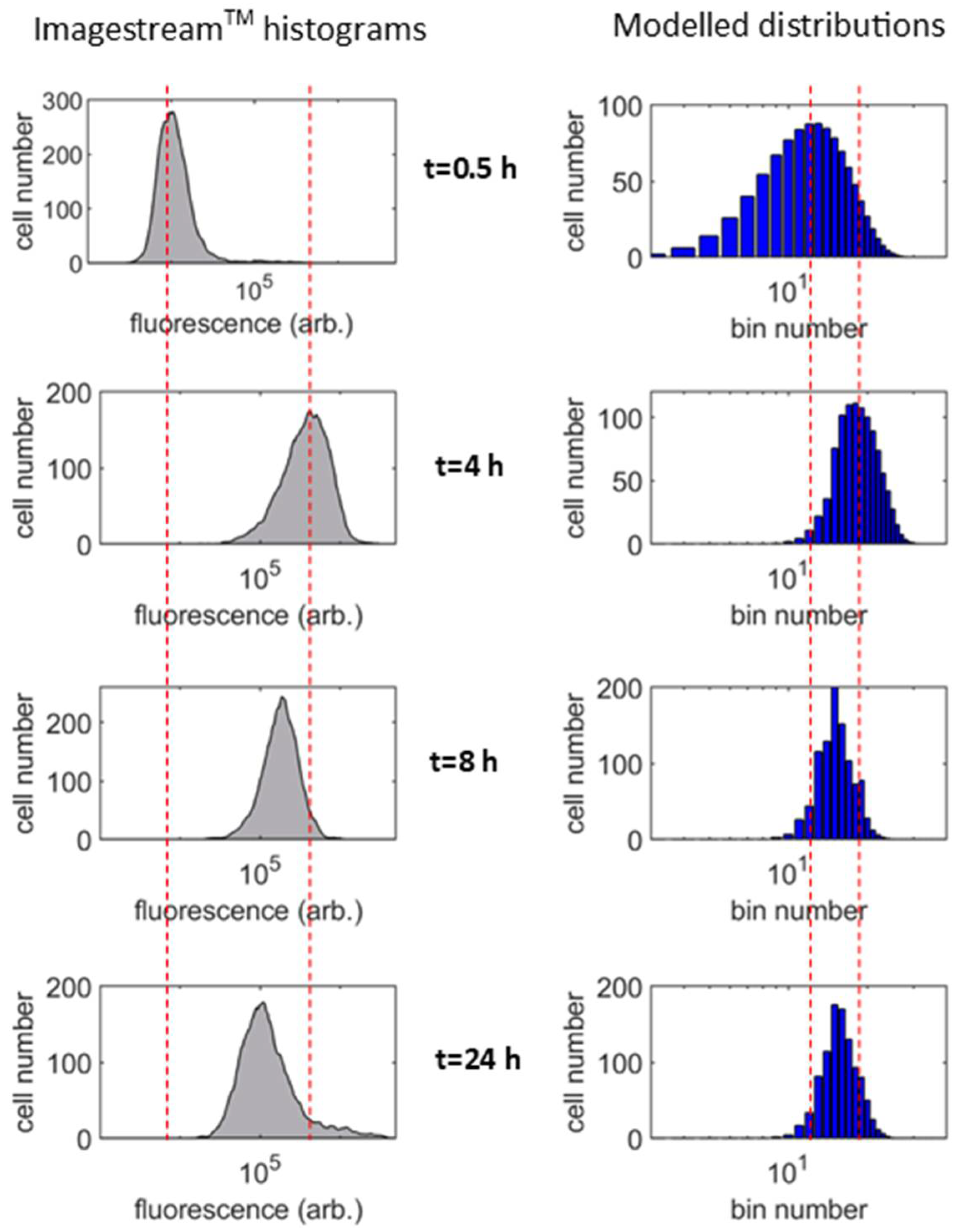 Nanomaterials 11 02606 g005 Nanomaterials 11 02606 g005
