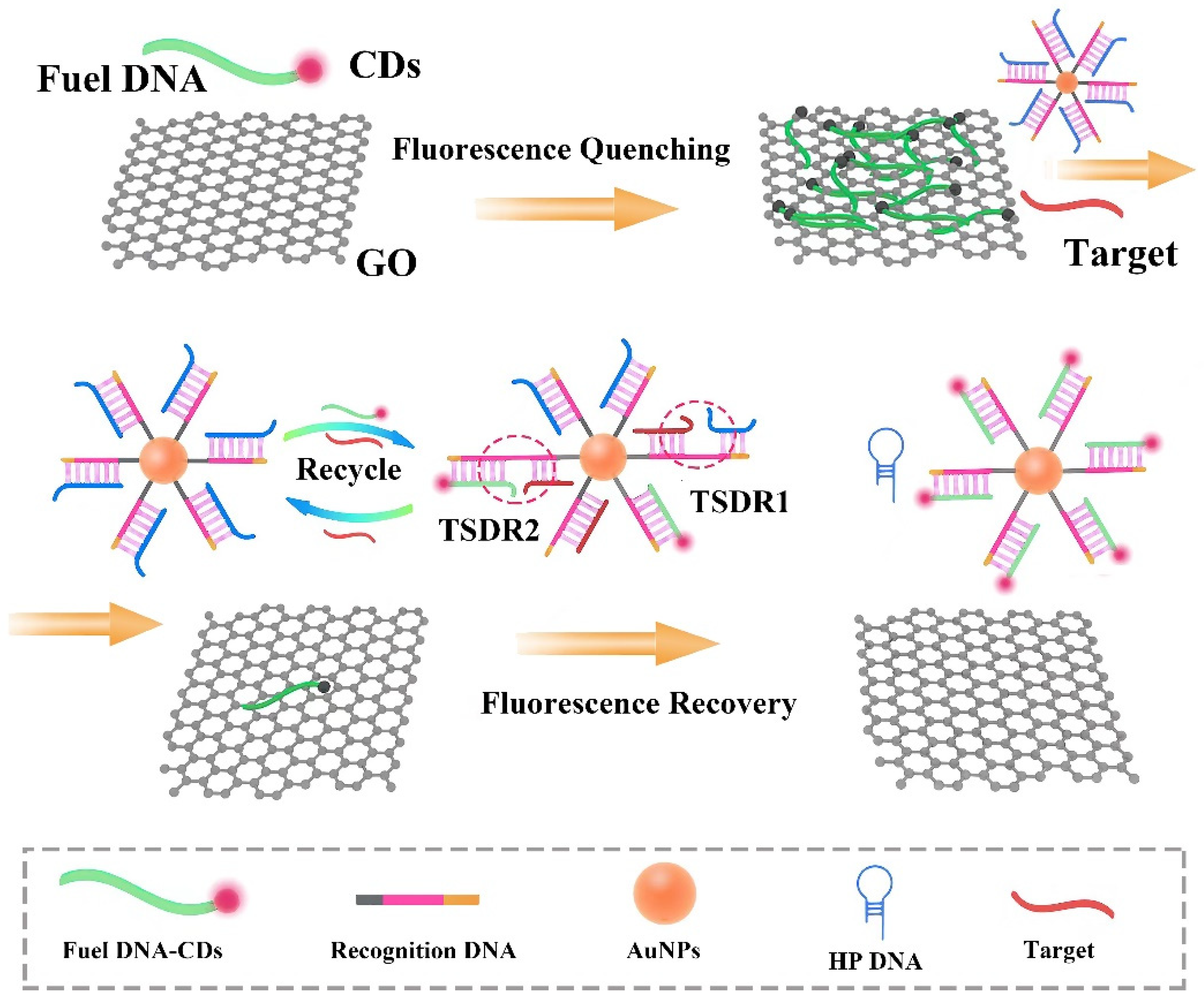 Nanomaterials | Free Full-Text | Nonenzymatic DNA-Based 