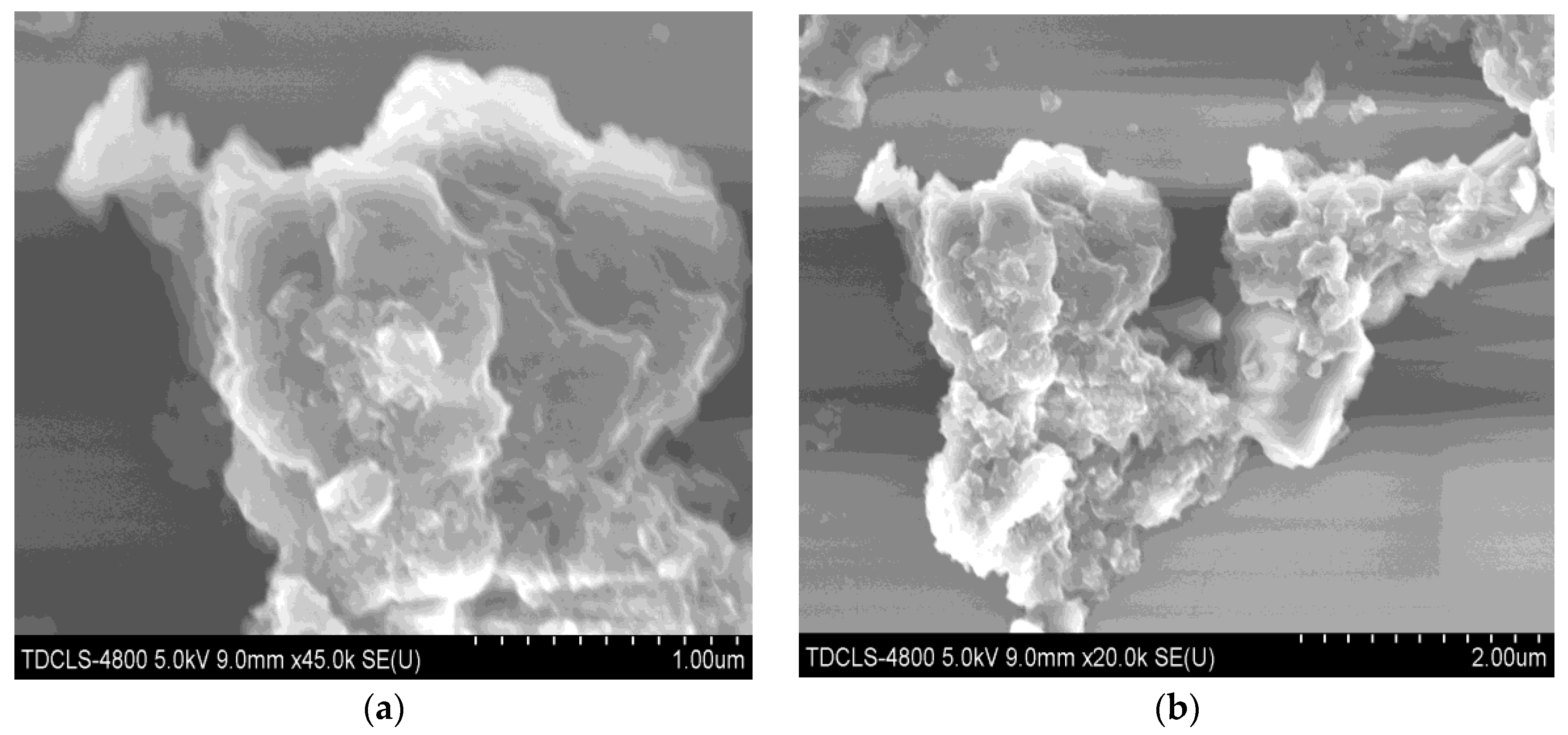 Nanomaterials 11 02609 g003a 550