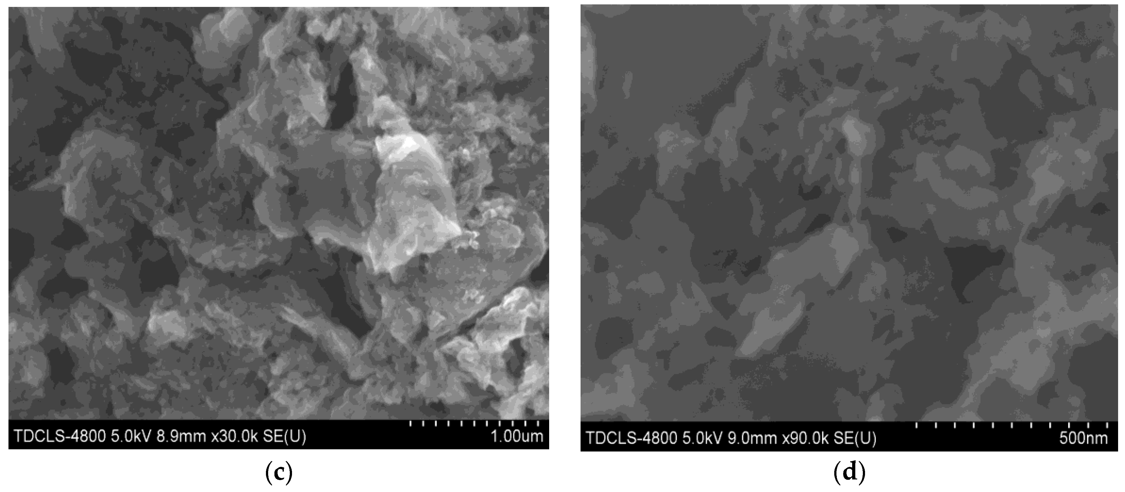 Nanomaterials 11 02609 g003b 550
