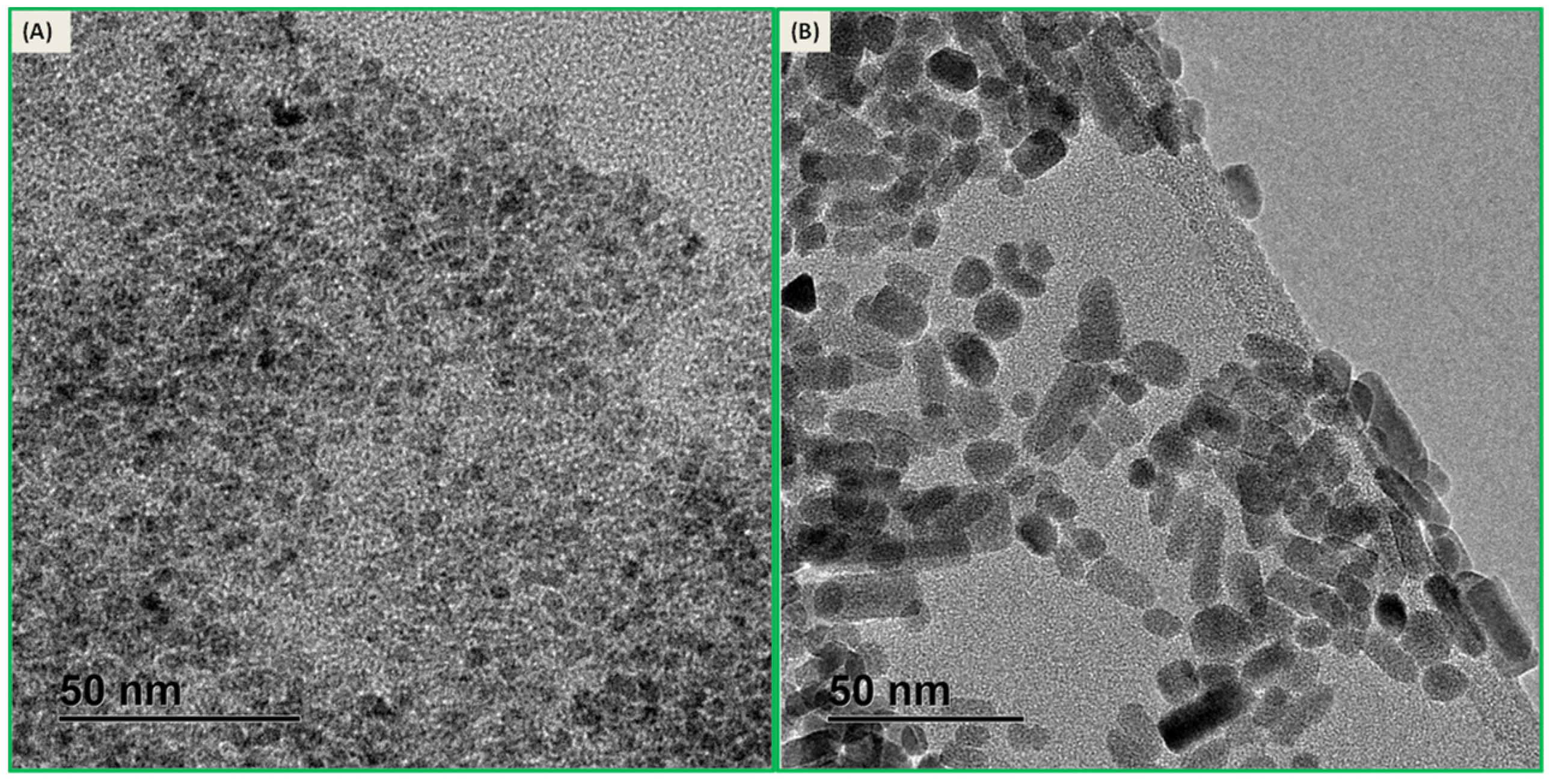 Nanomaterials 11 02611 g002 550