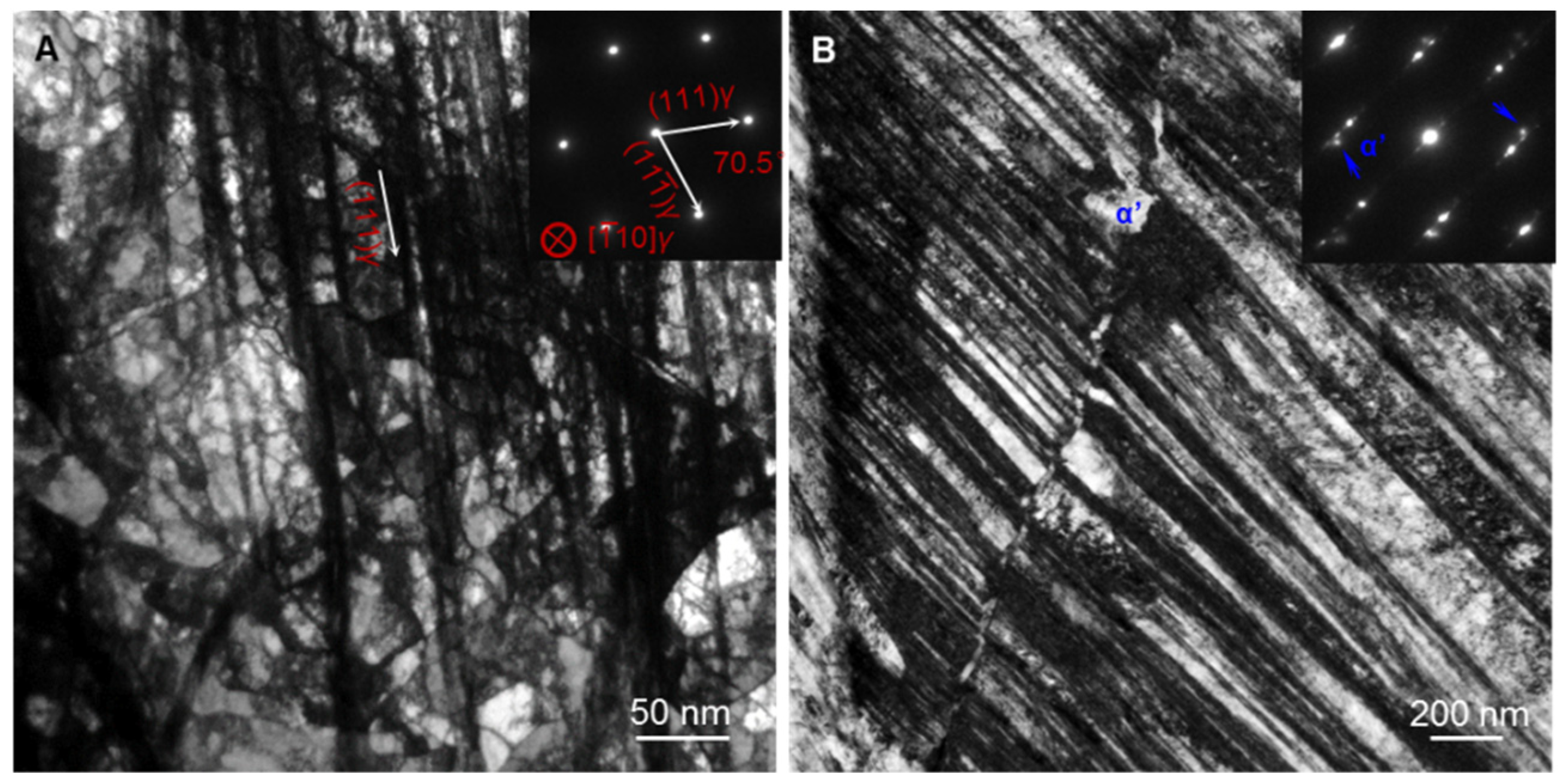 Nanomaterials 11 02613 g005
