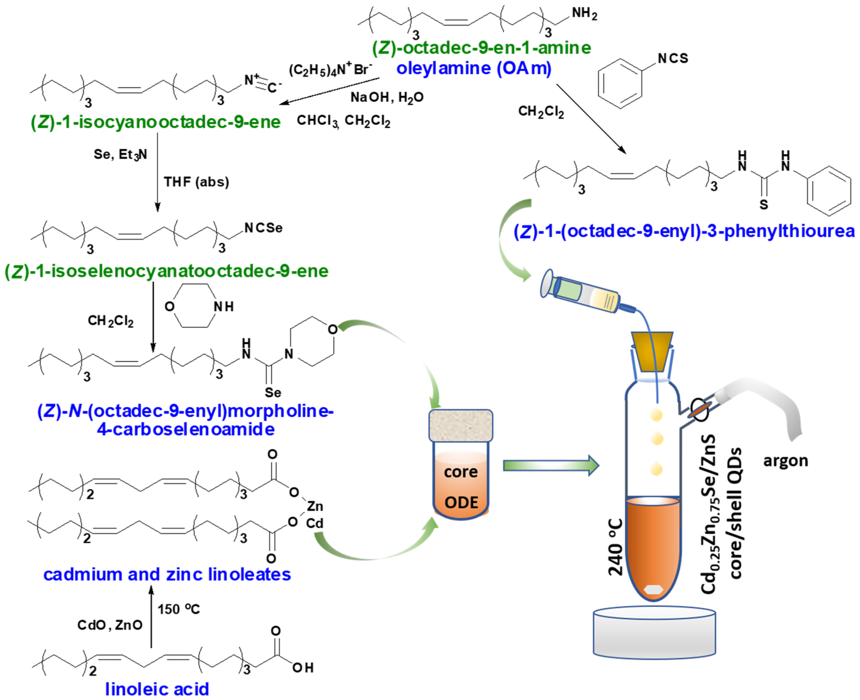 Nanomaterials 11 02616 g001