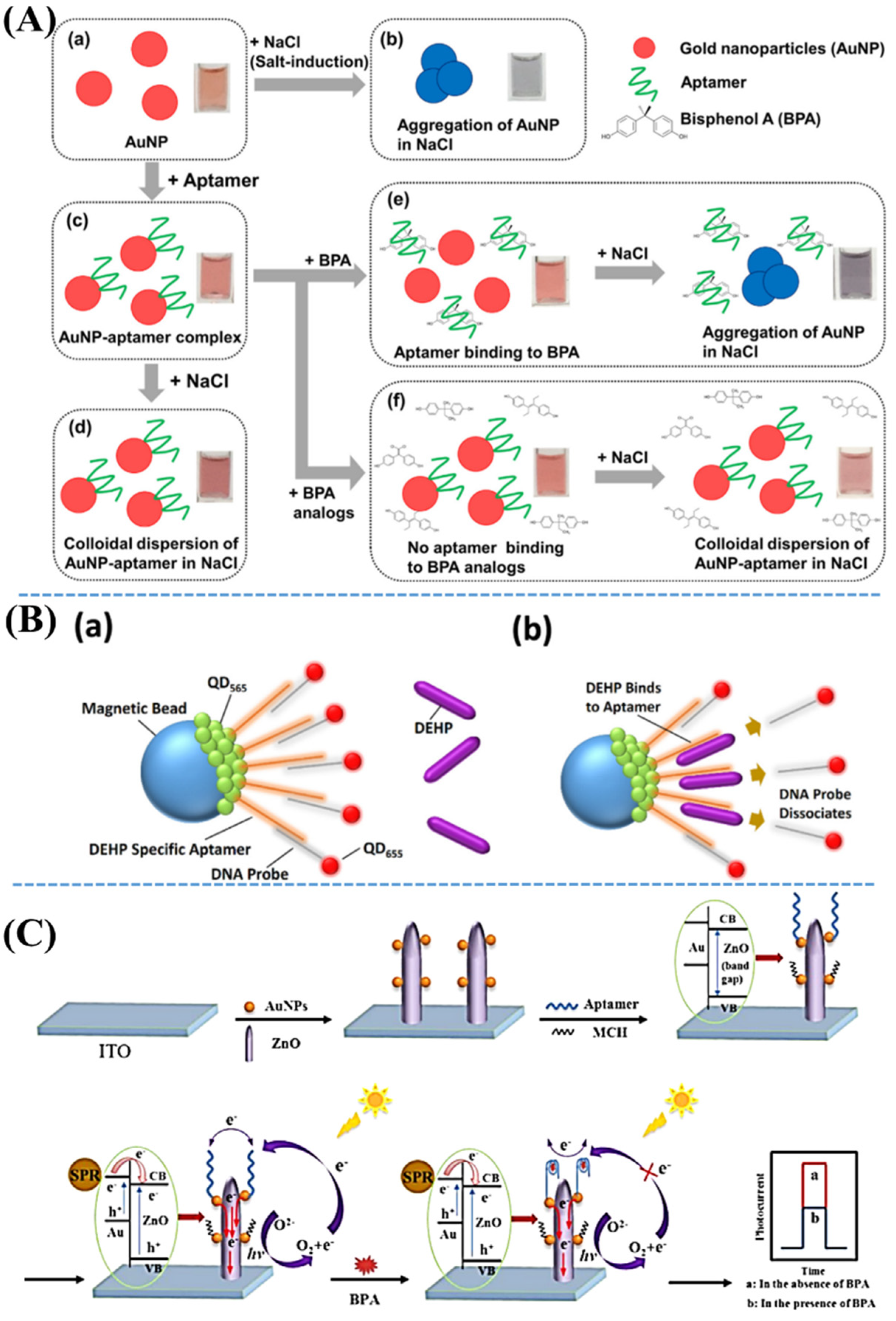 Nanomaterials 11 02619 g007 550