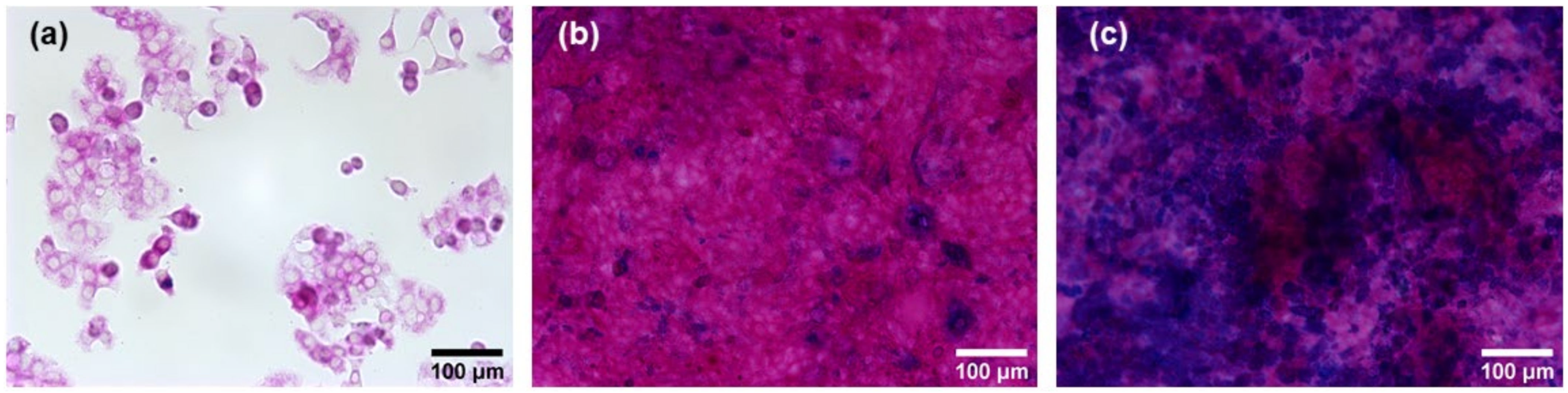 Nanomaterials 11 02621 g002 Nanomaterials 11 02621 g002