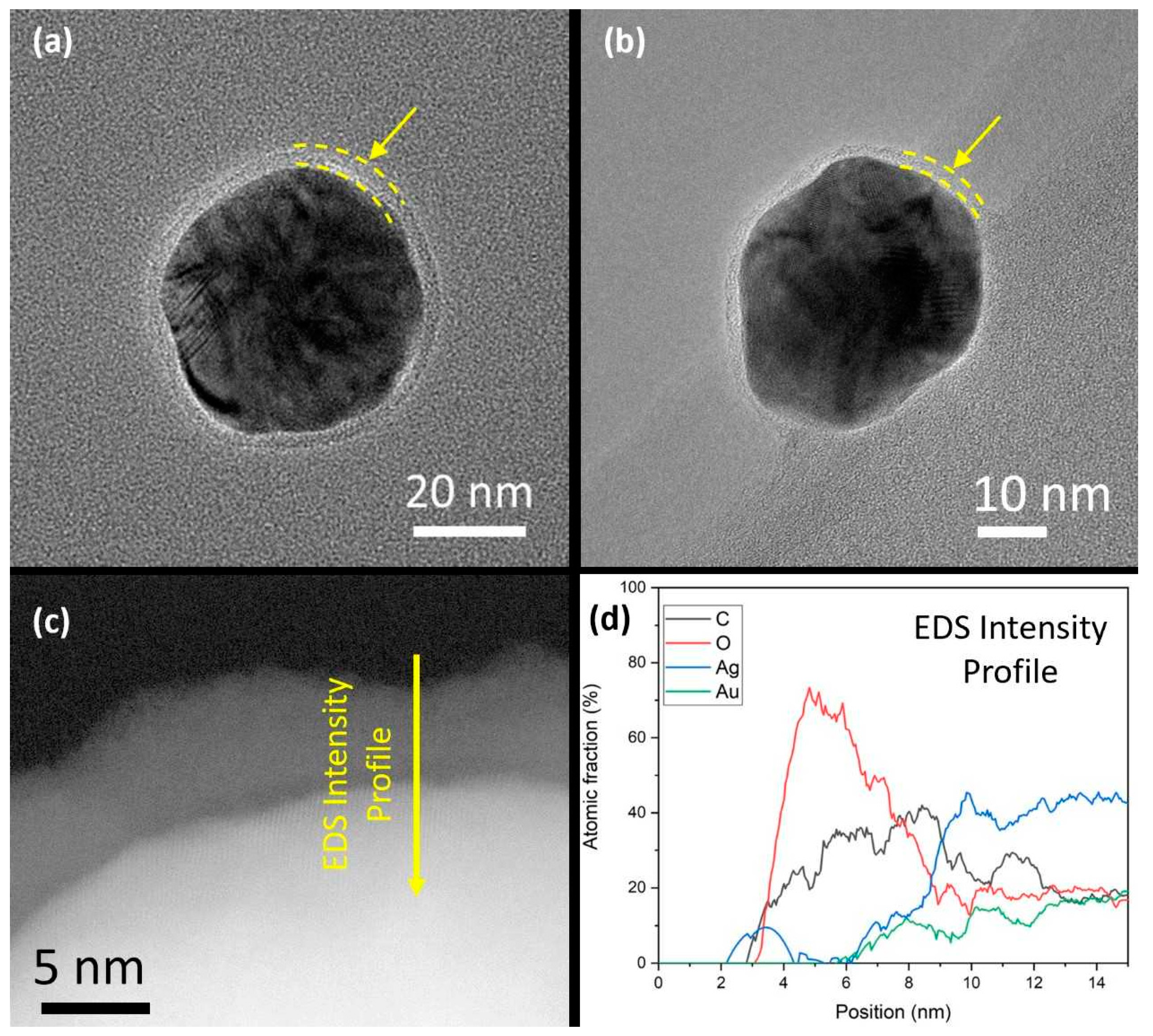 Nanomaterials 11 02624 g003
