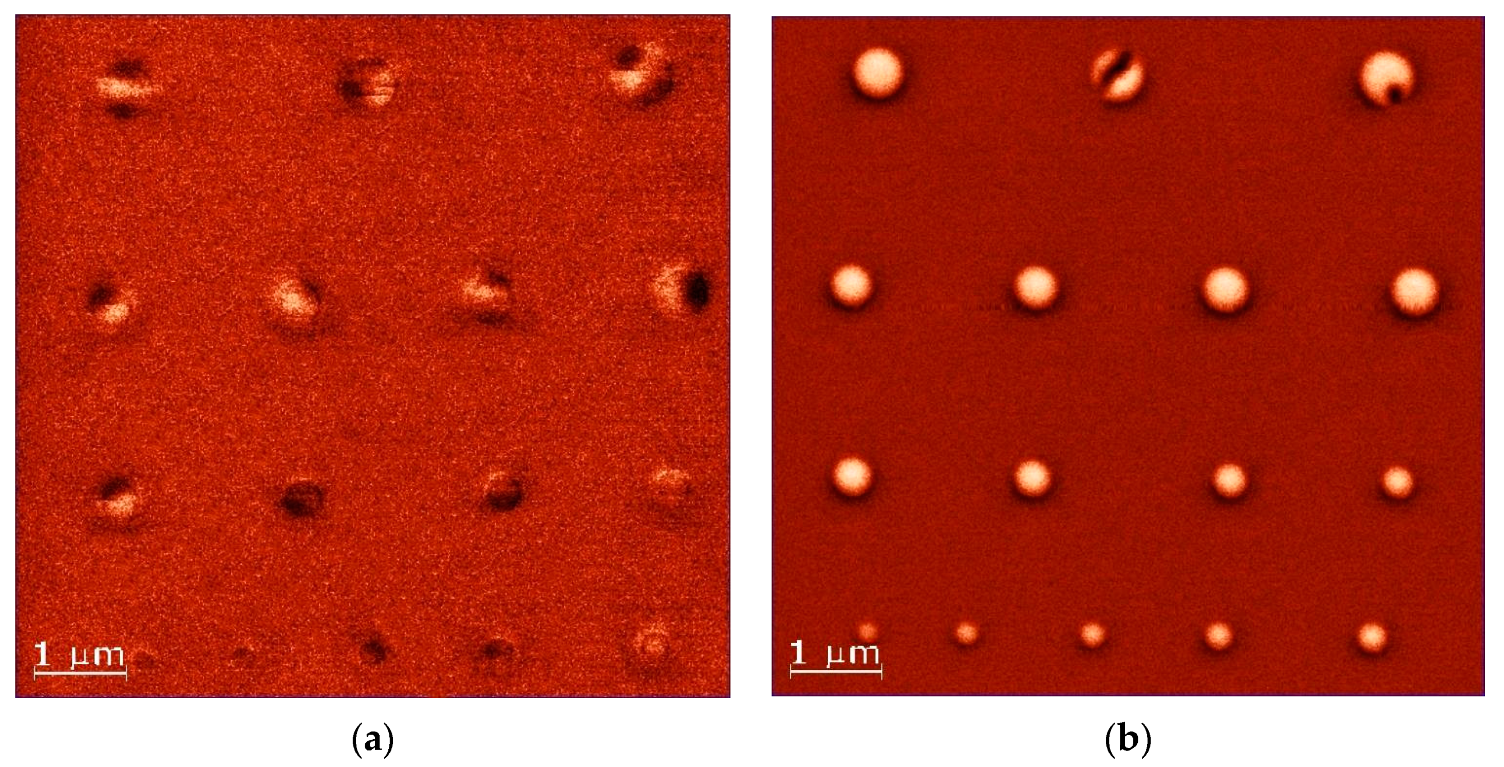 Nanomaterials 11 02627 g003