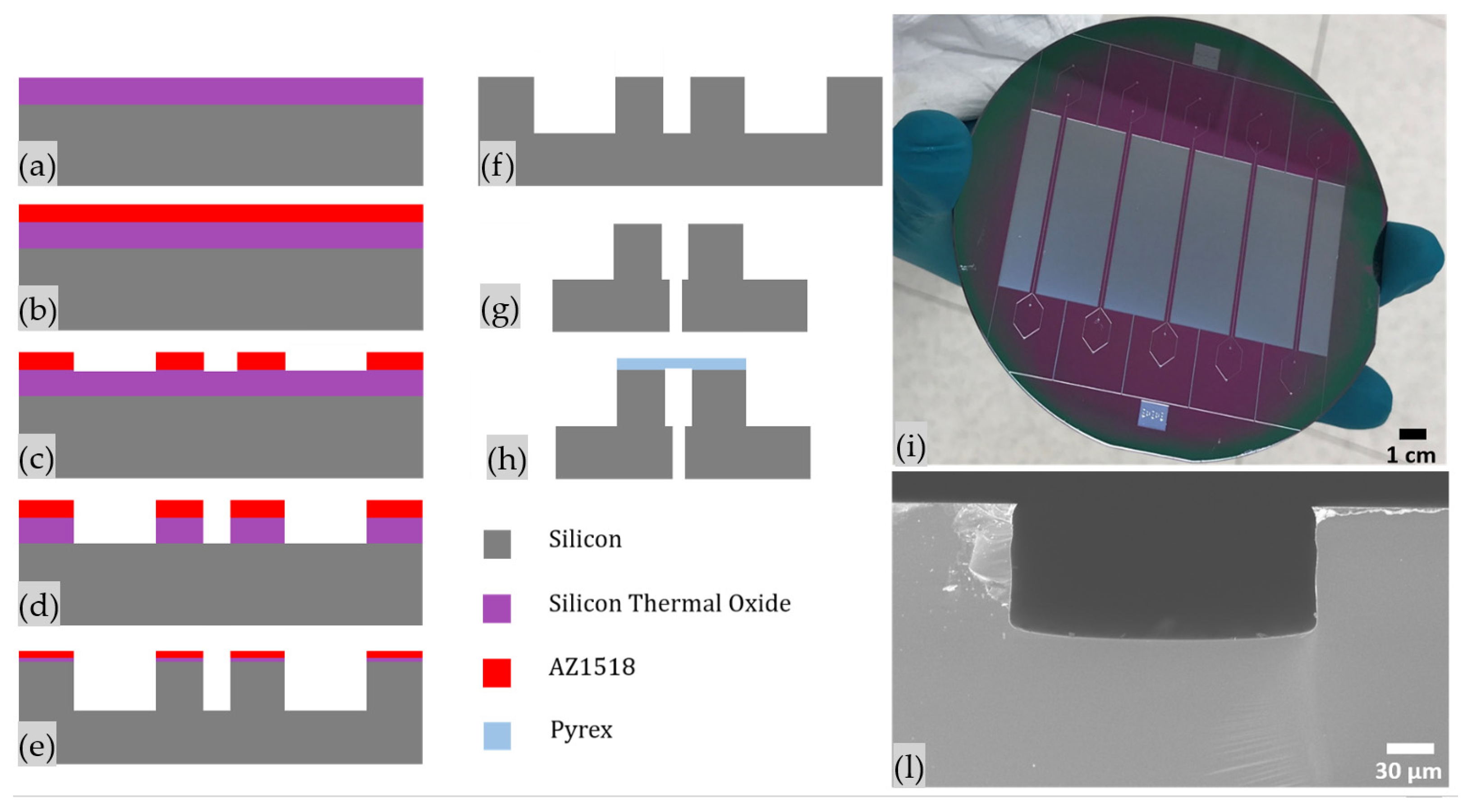 Nanomaterials 11 02630 g001