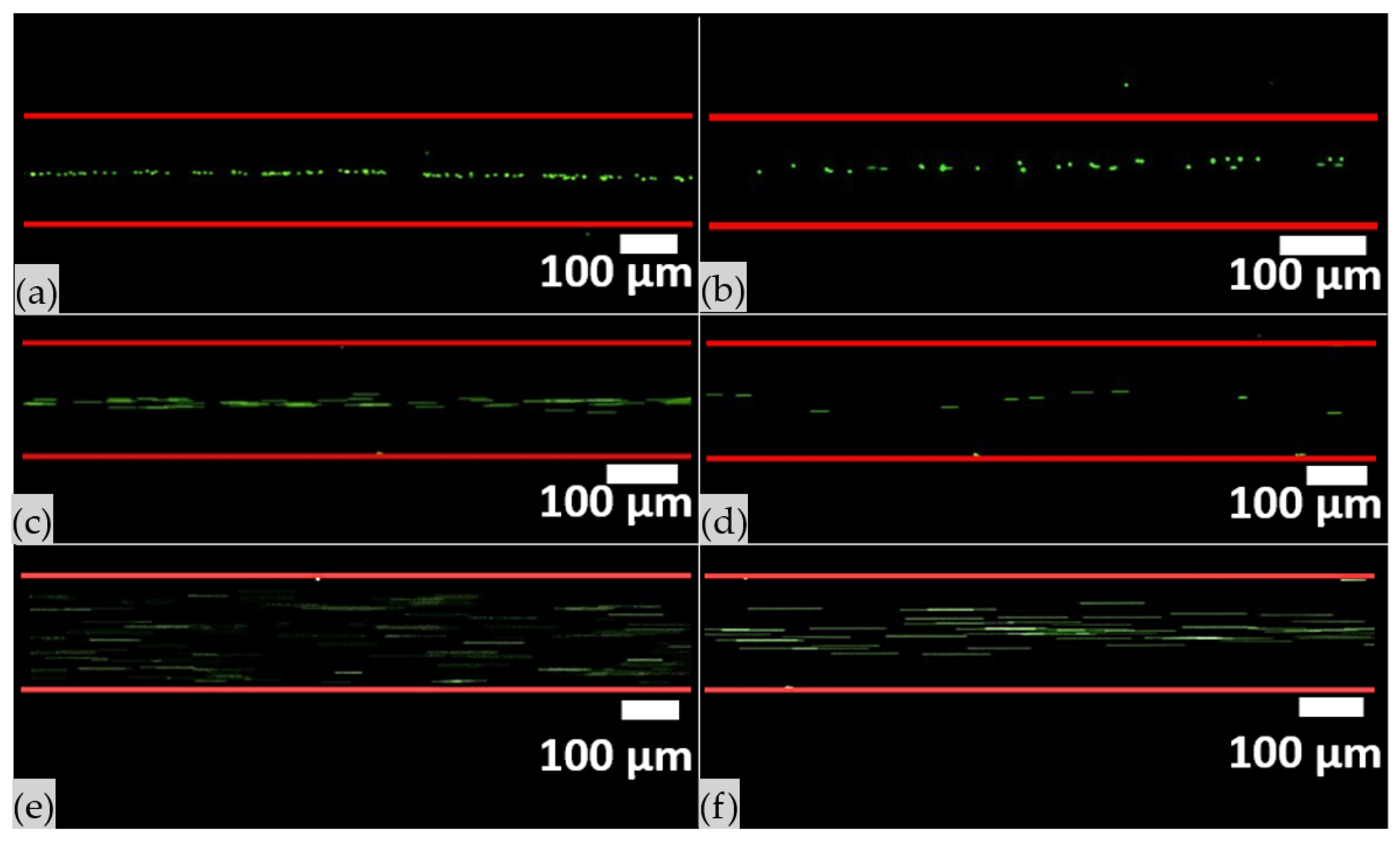 Nanomaterials 11 02630 g006